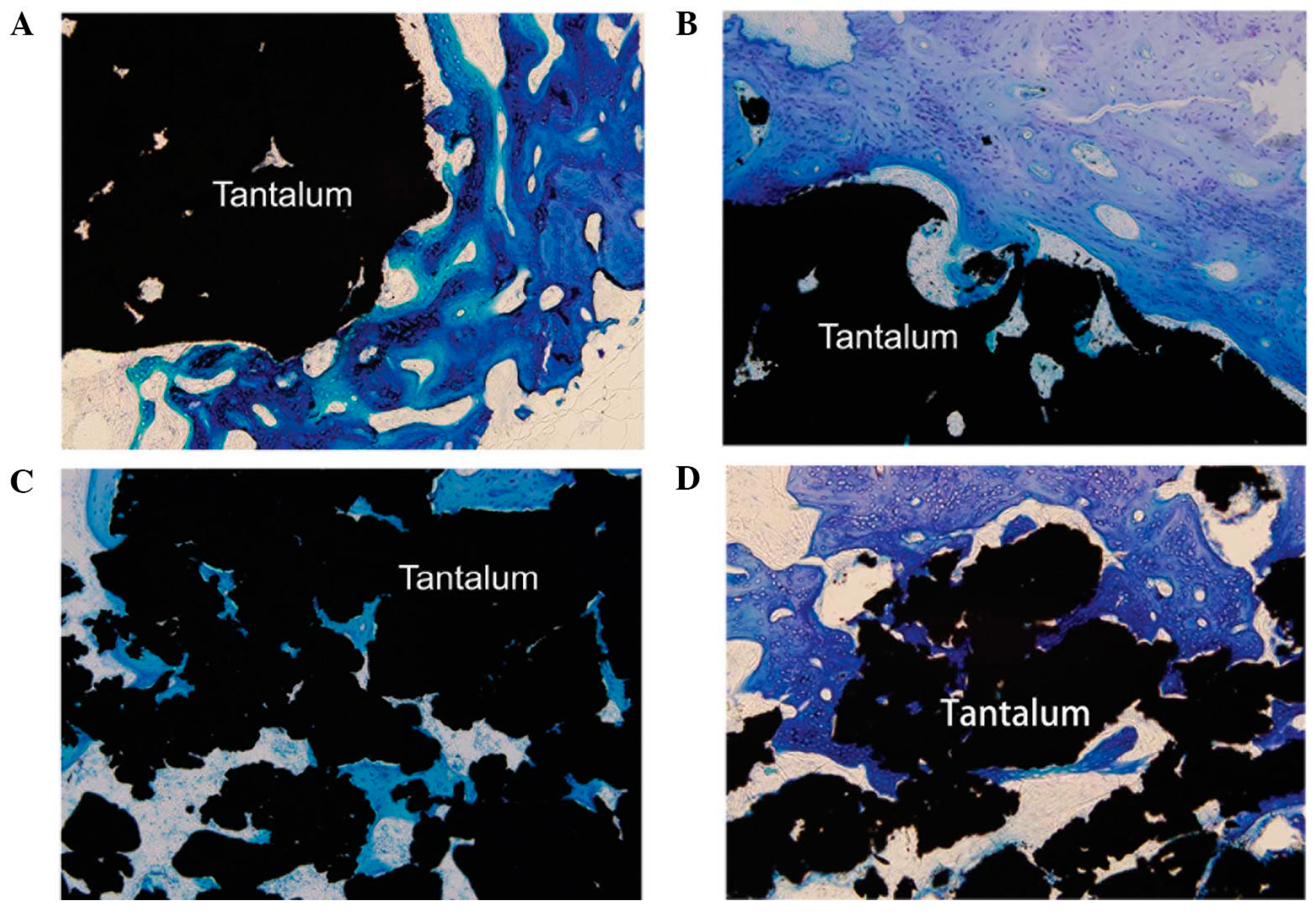 Materials 10 00884 g004