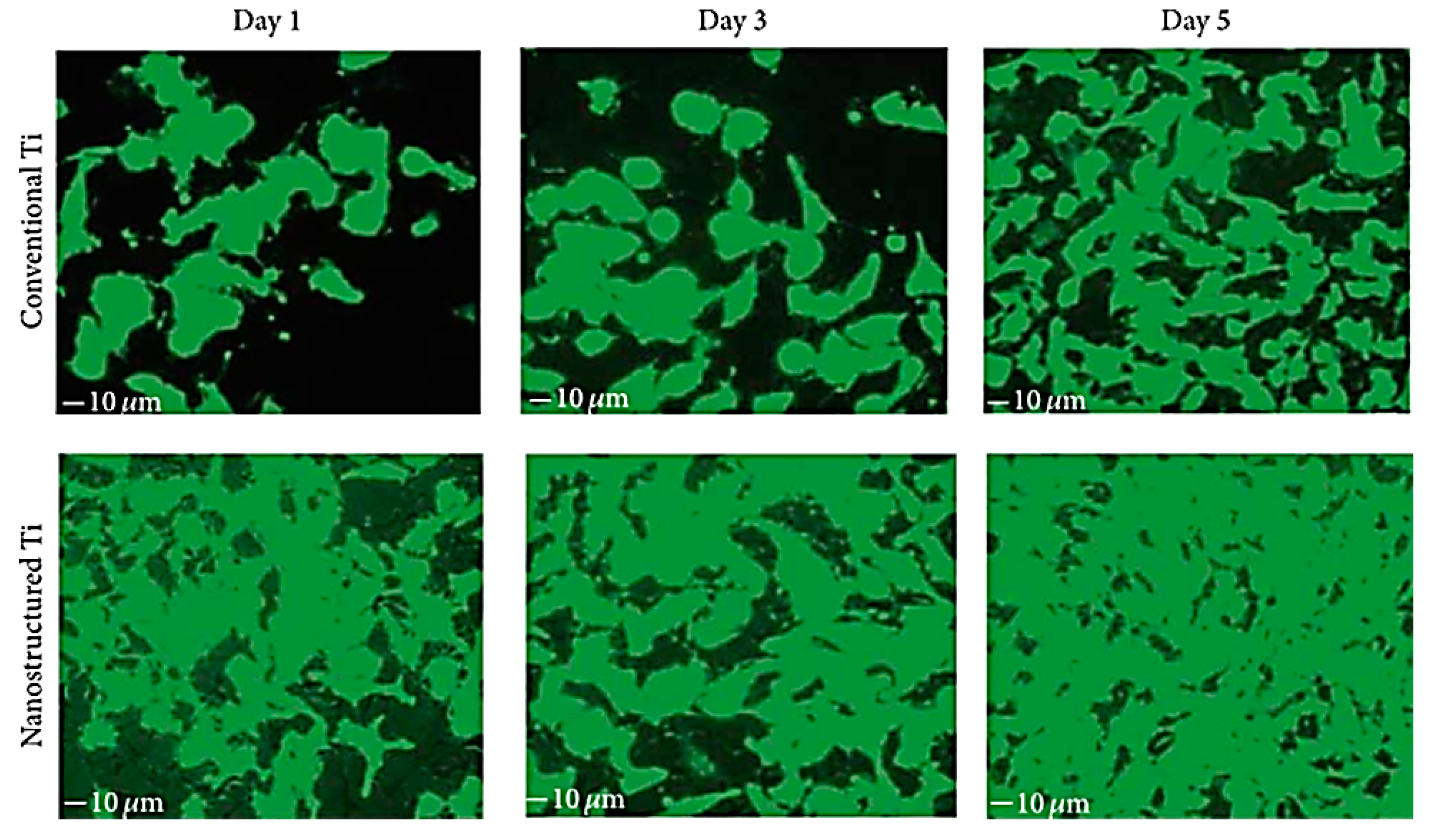 Materials 10 00884 g007