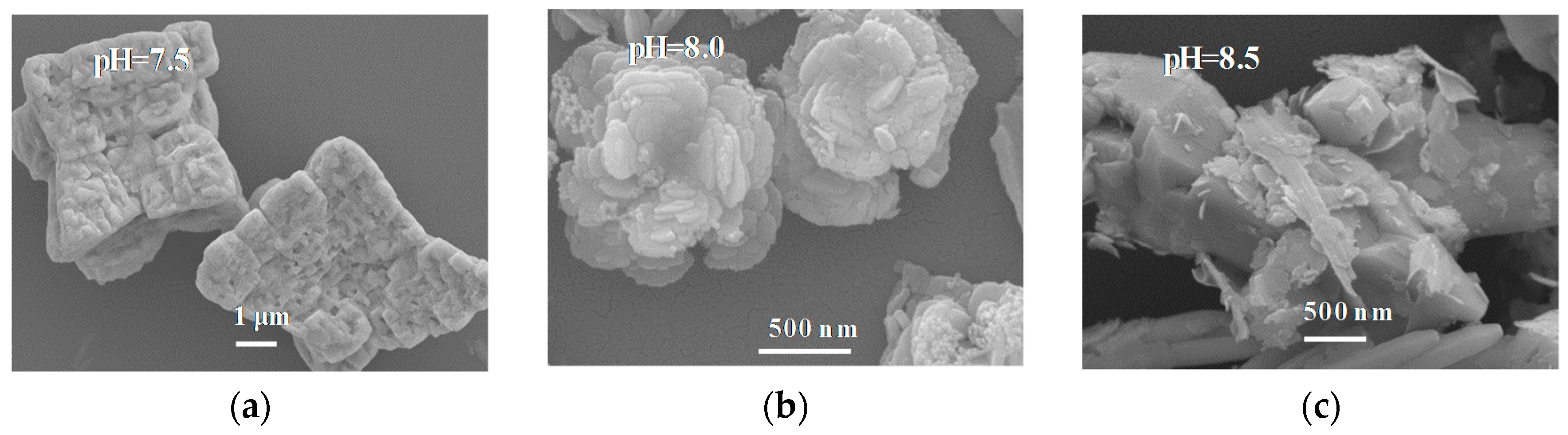 Materials 10 00891 g002a
