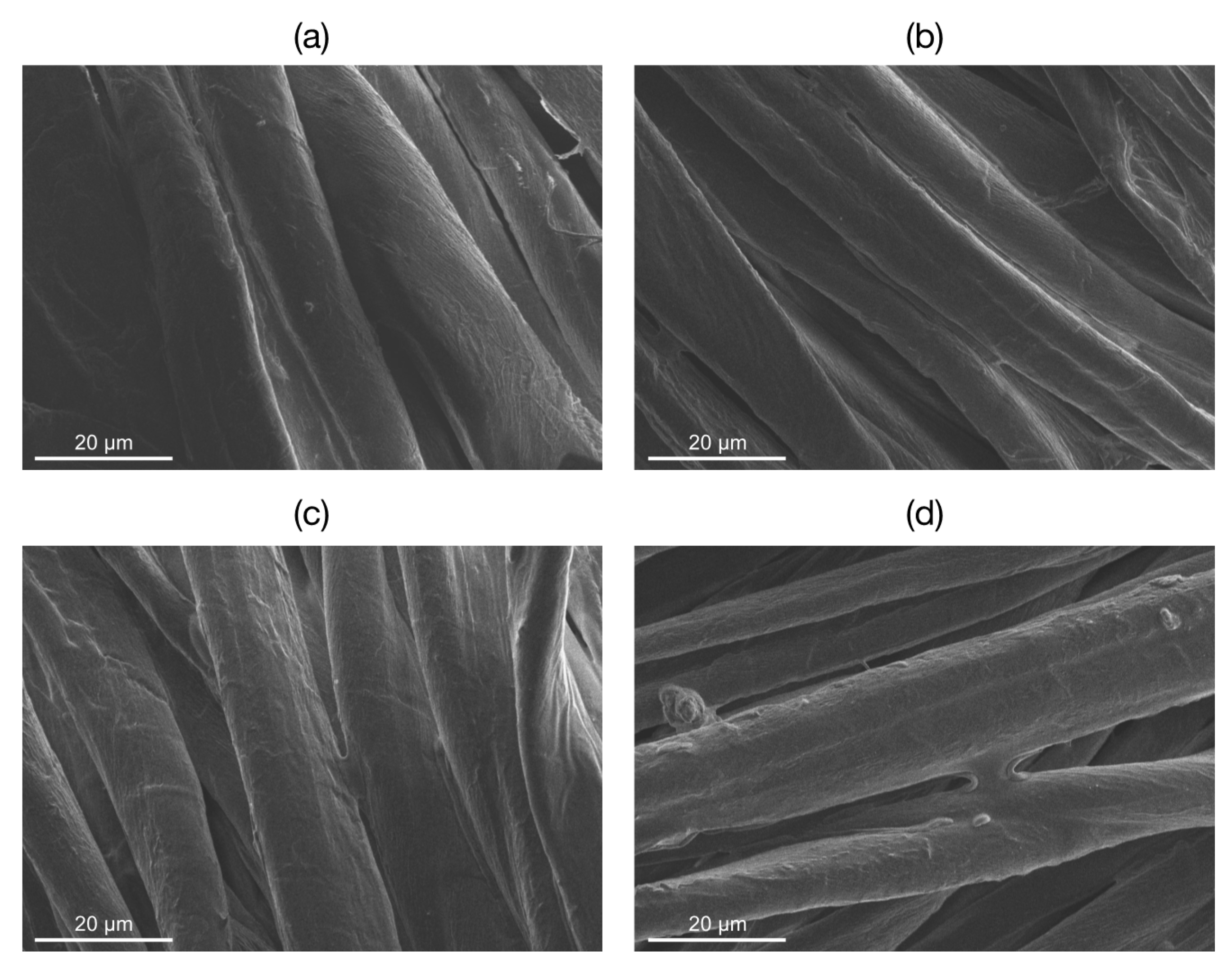 Materials 10 00913 g002