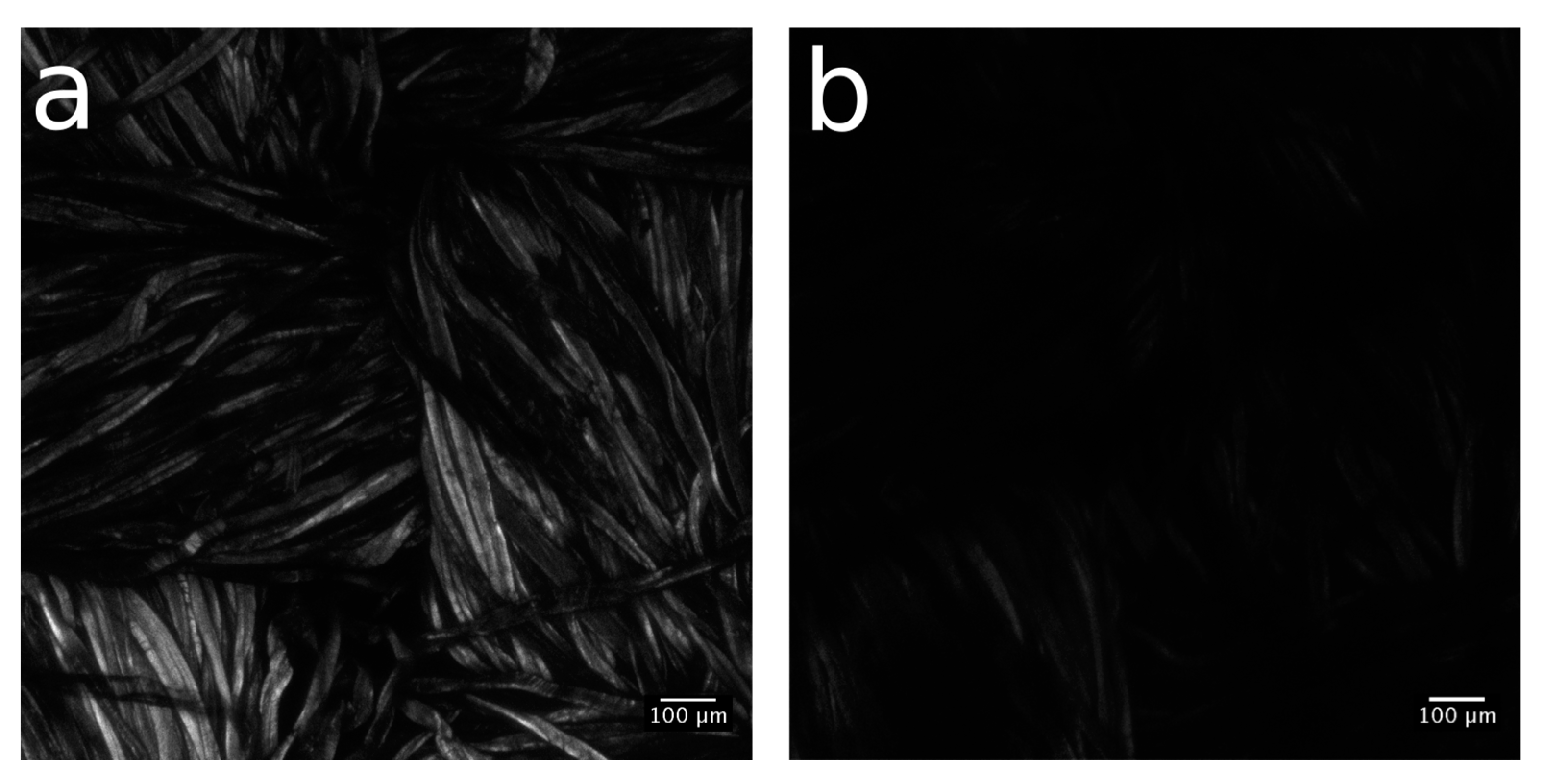 Materials 10 00913 g006