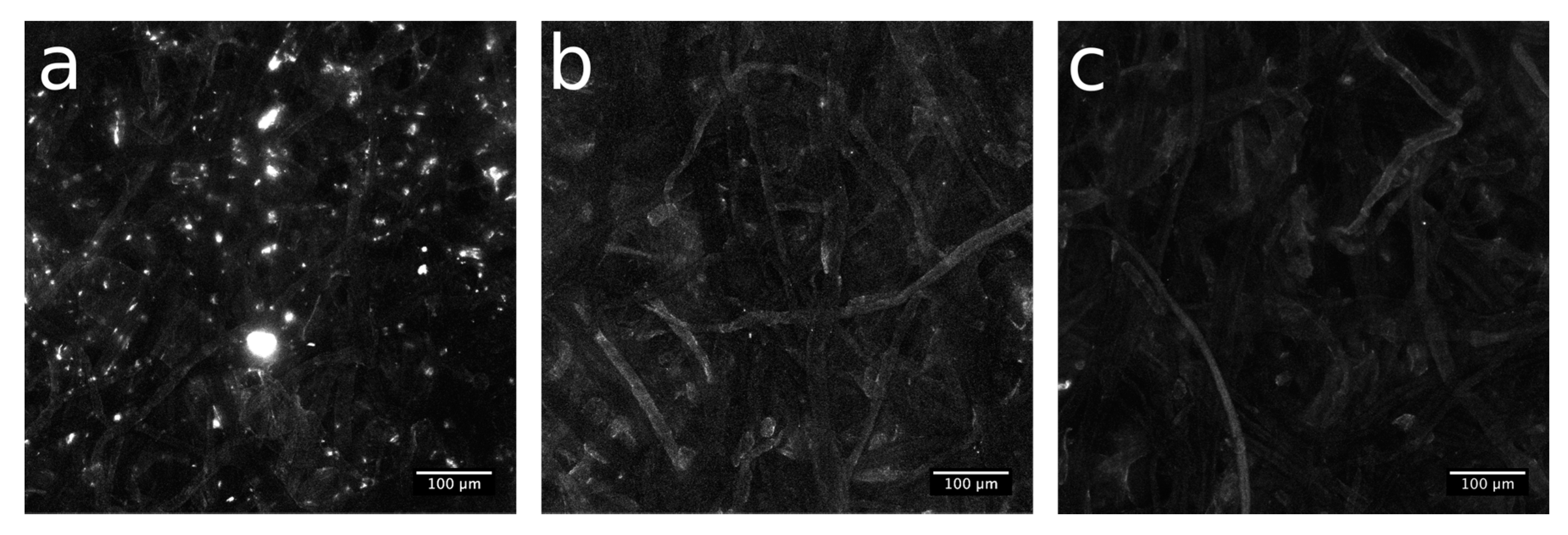 Materials 10 00913 g007