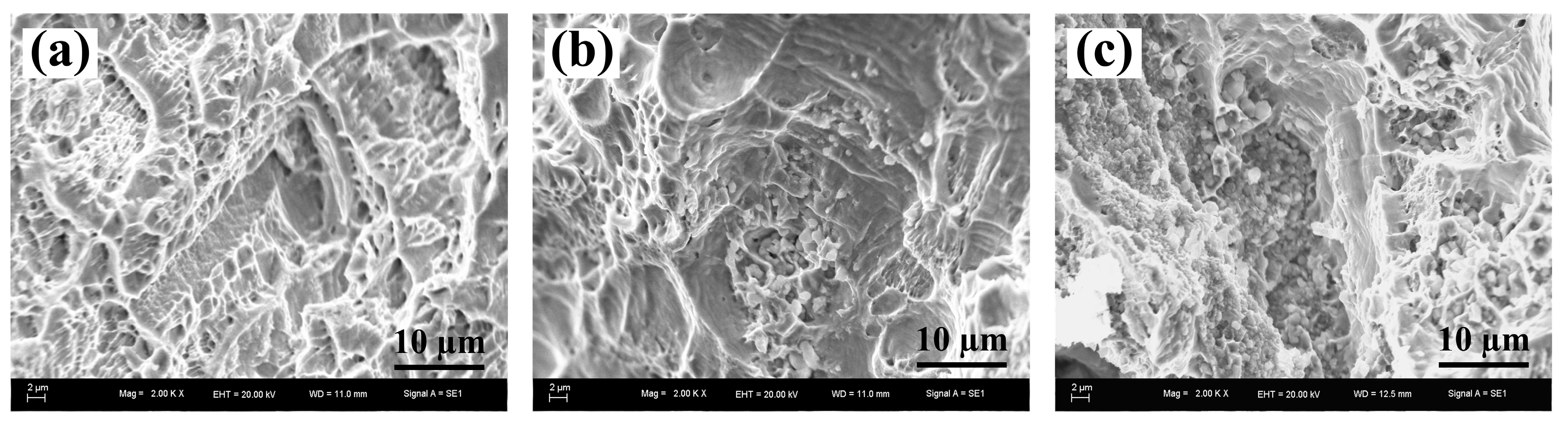 Materials 10 00919 g005