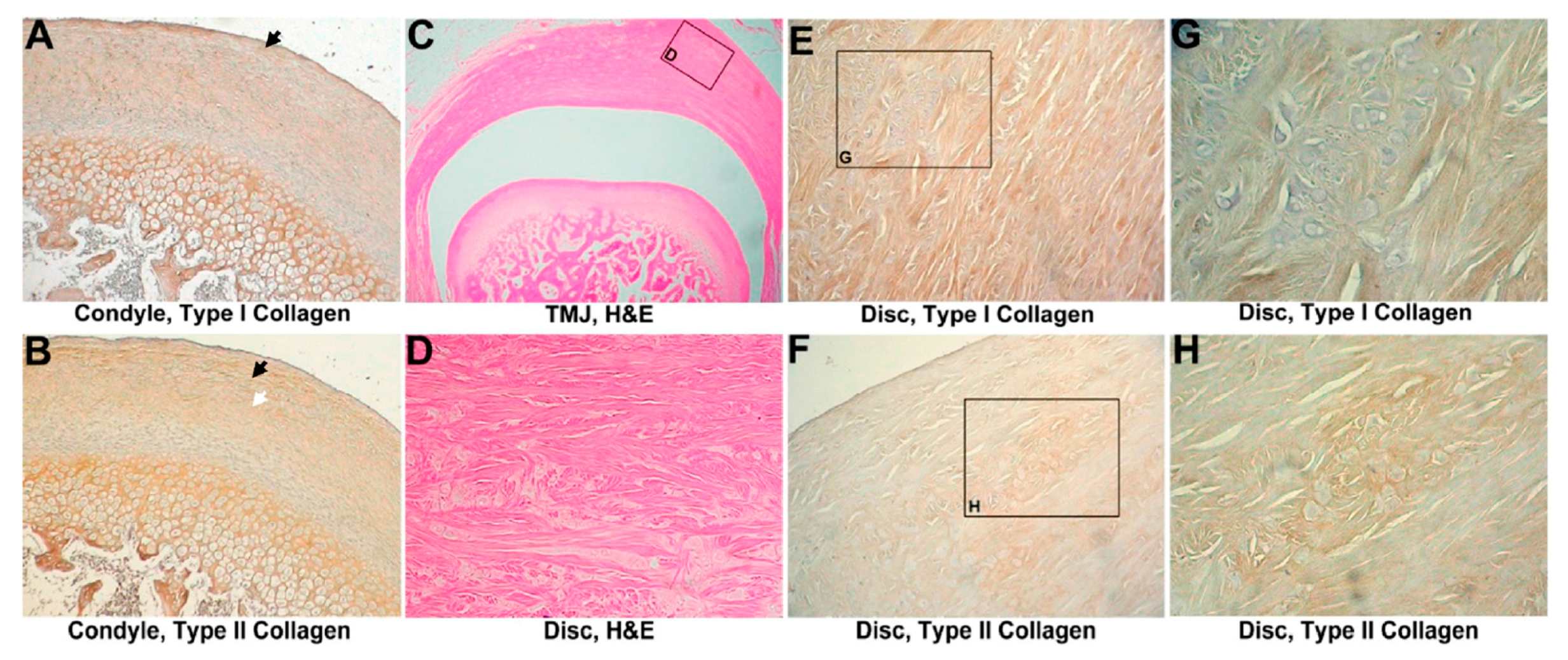 Materials 10 00924 g001
