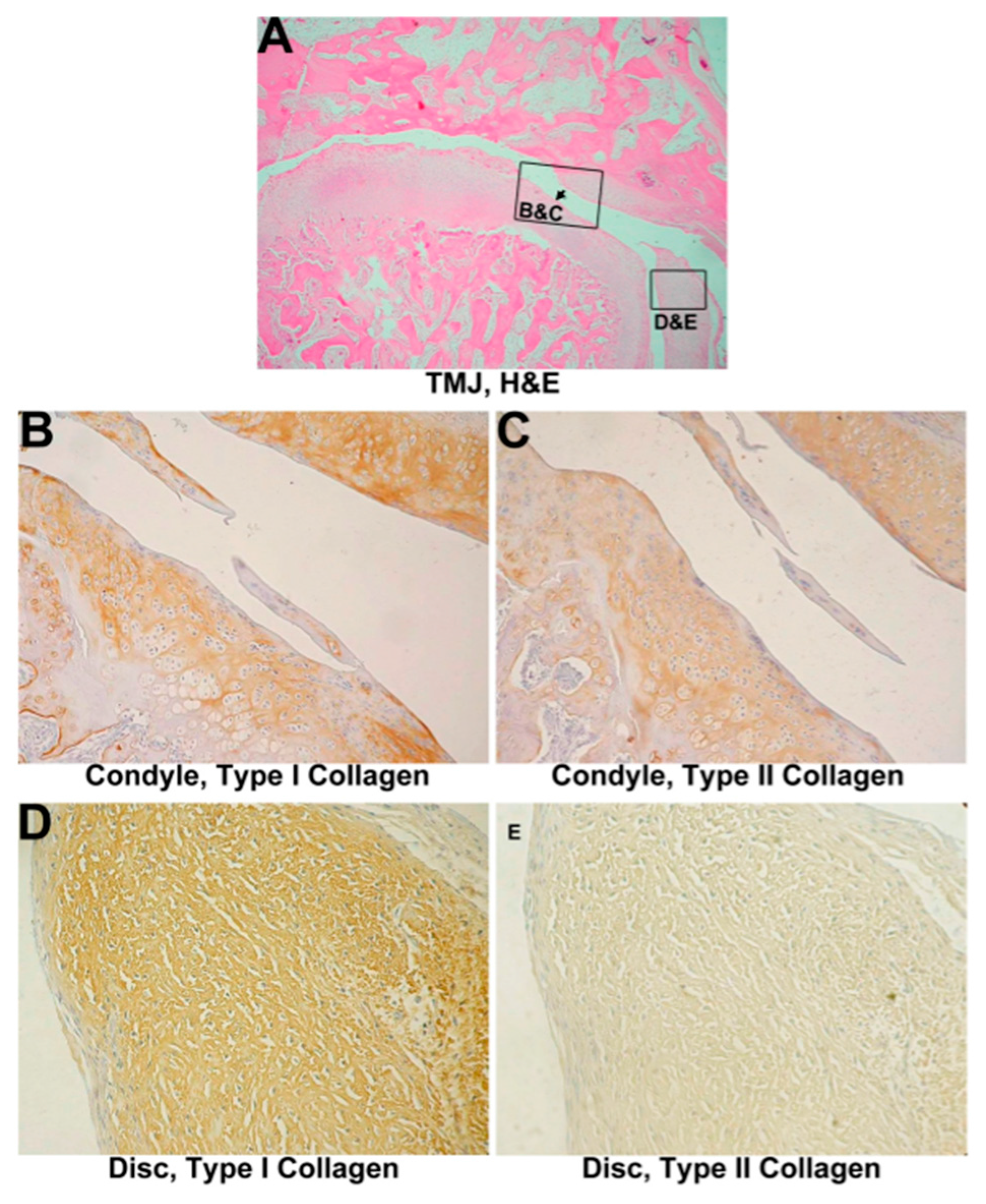 Materials 10 00924 g002
