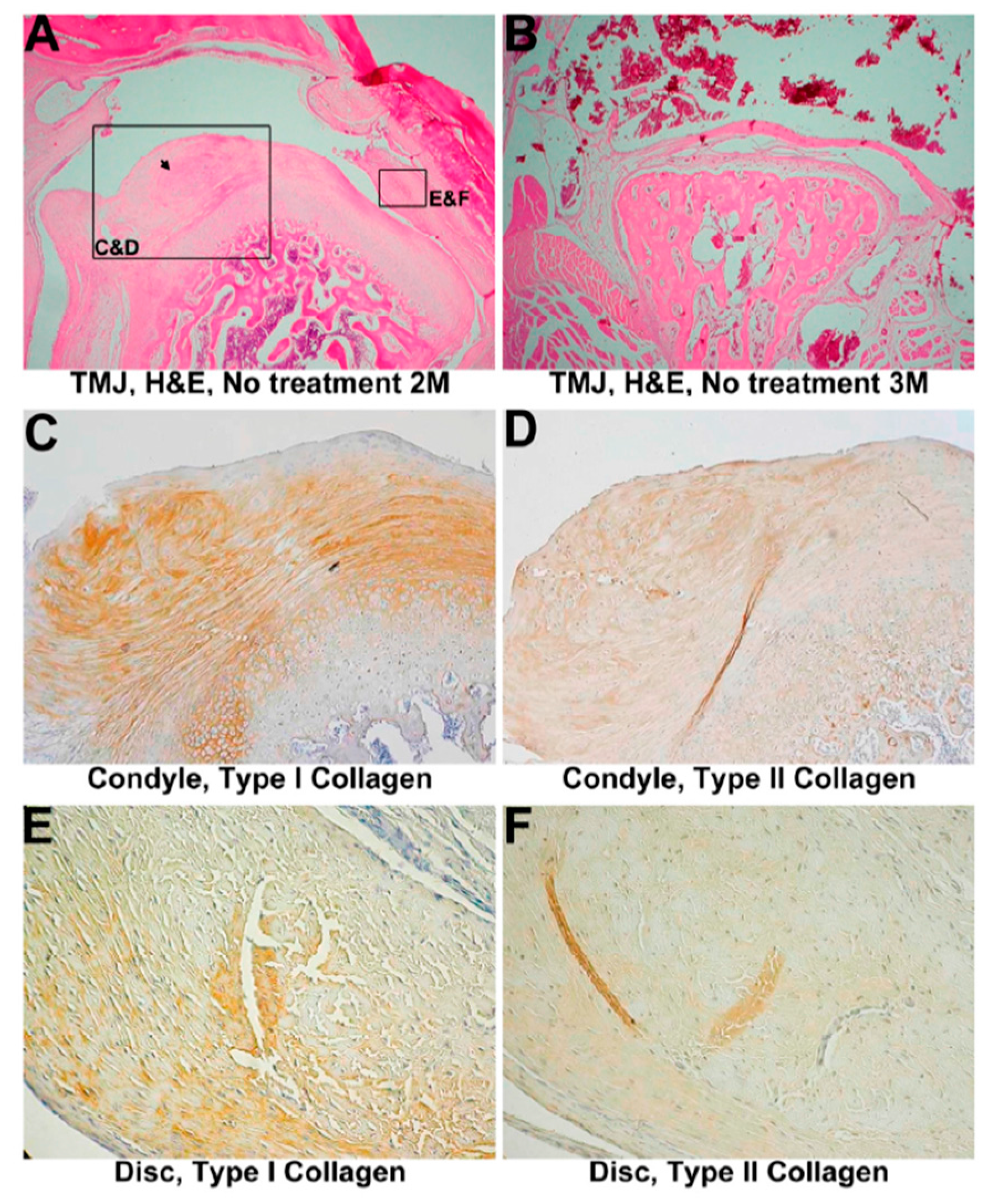 Materials 10 00924 g003