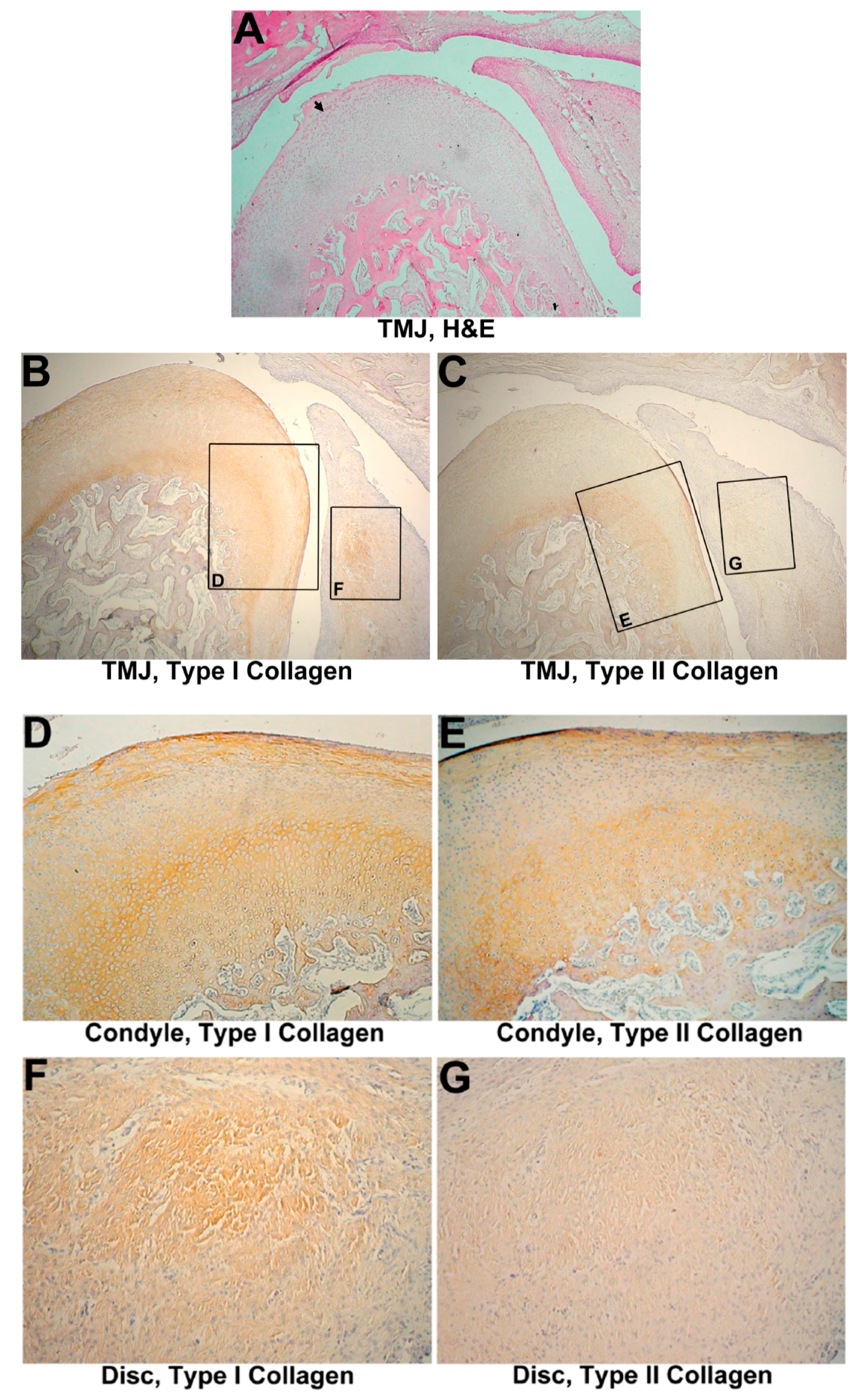 Materials 10 00924 g004