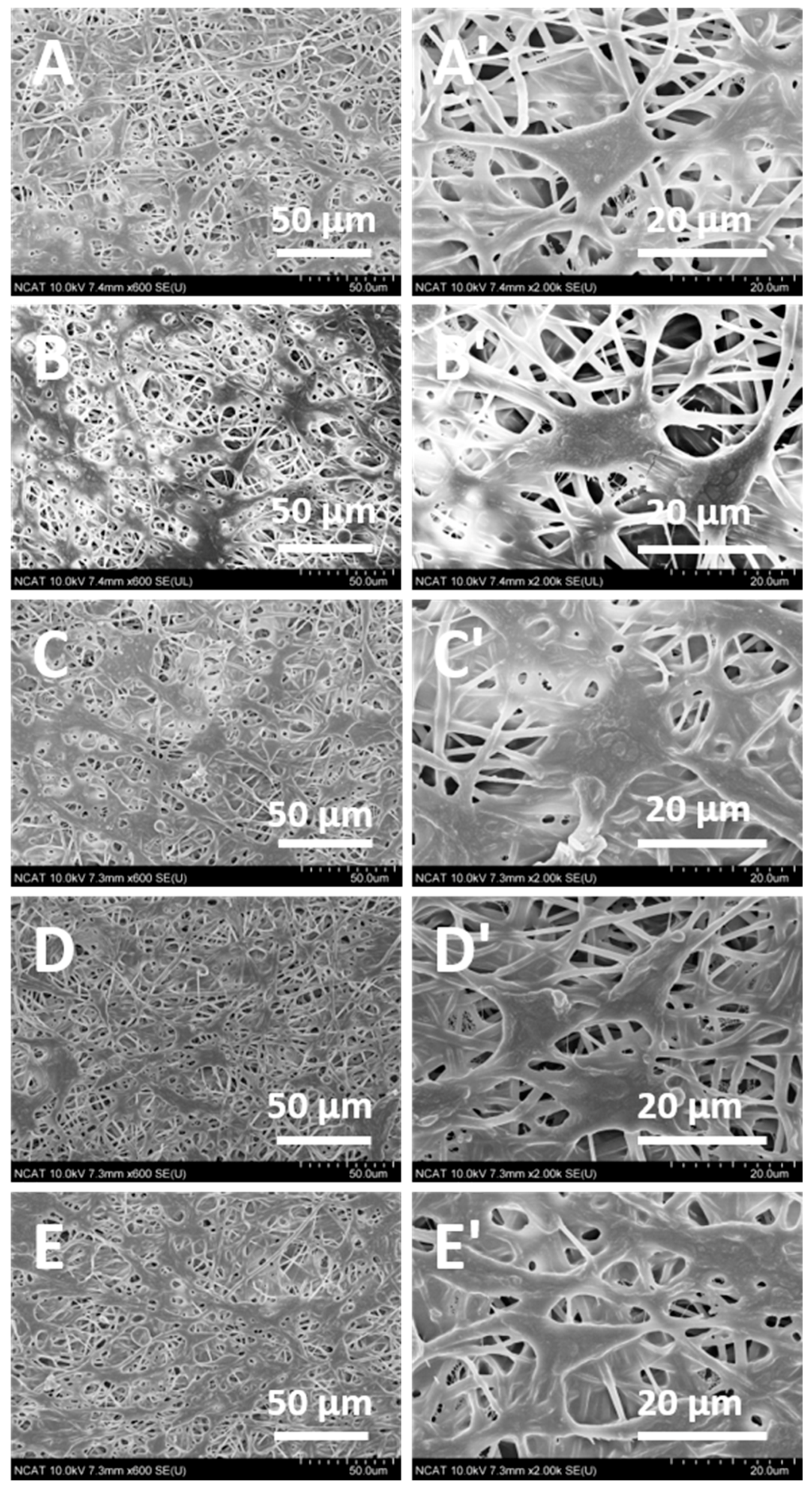 Materials 10 00937 g007 Materials 10 00937 g007