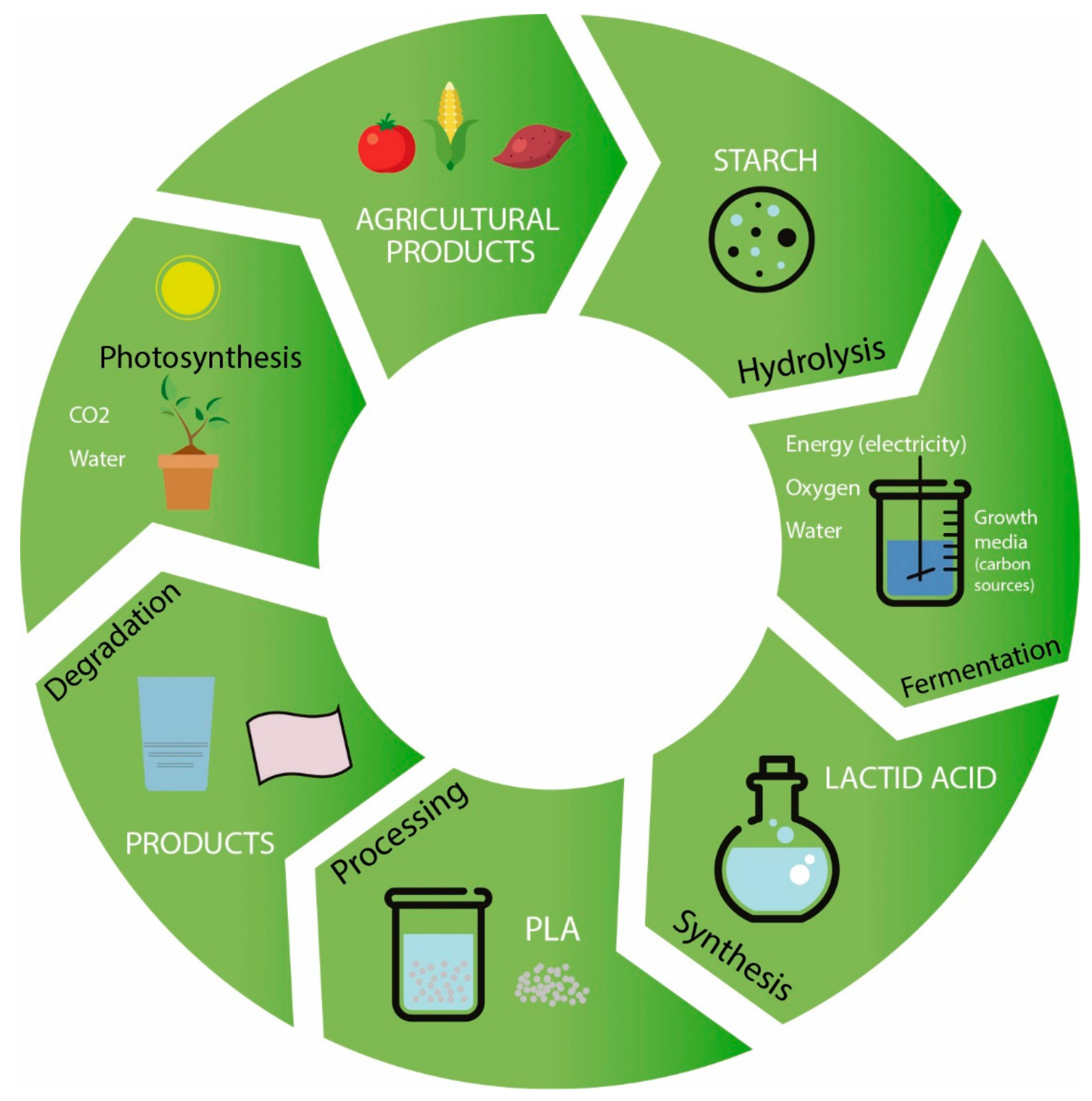 Materials 10 00952 g002