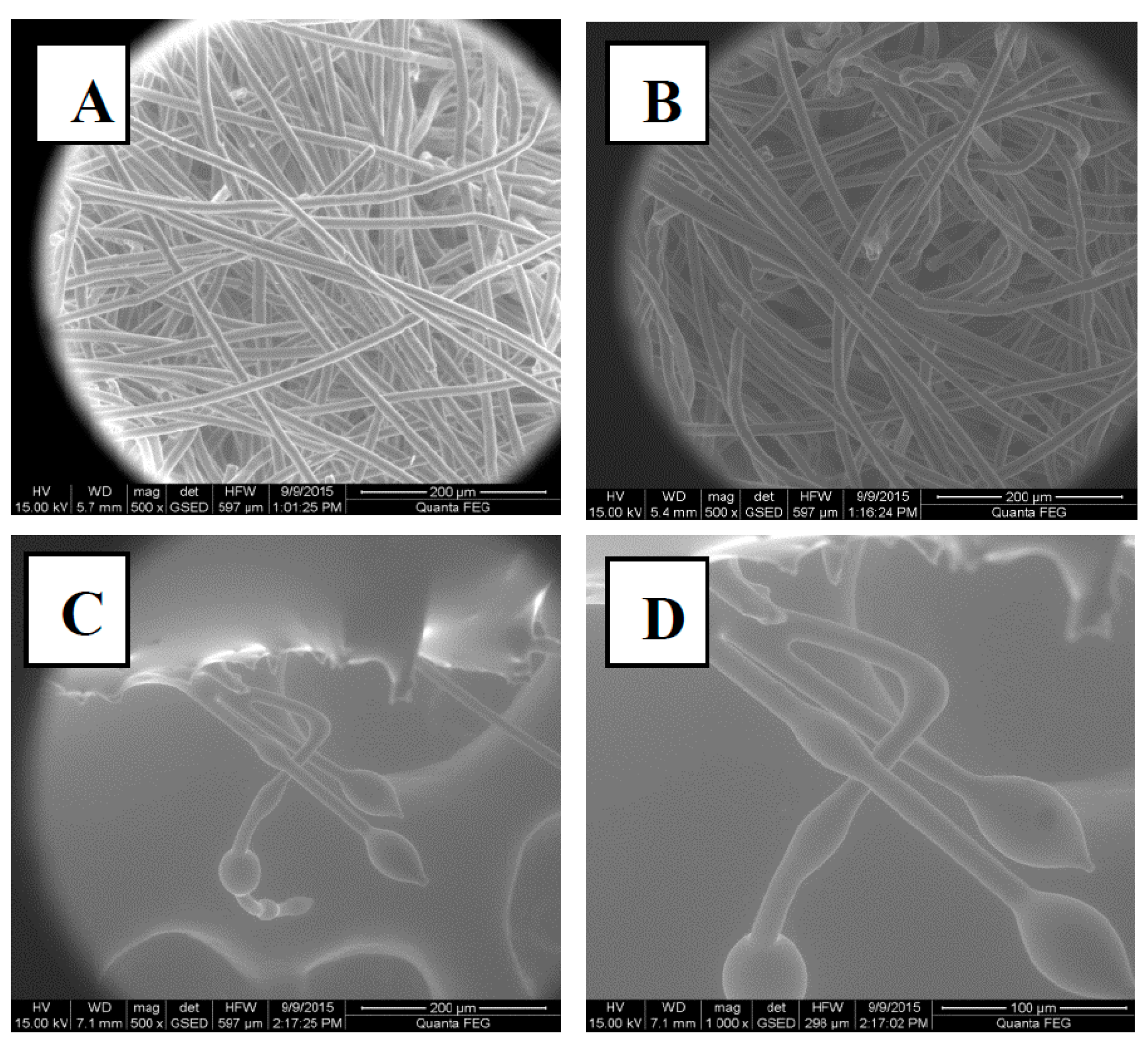 Materials 10 00954 g004