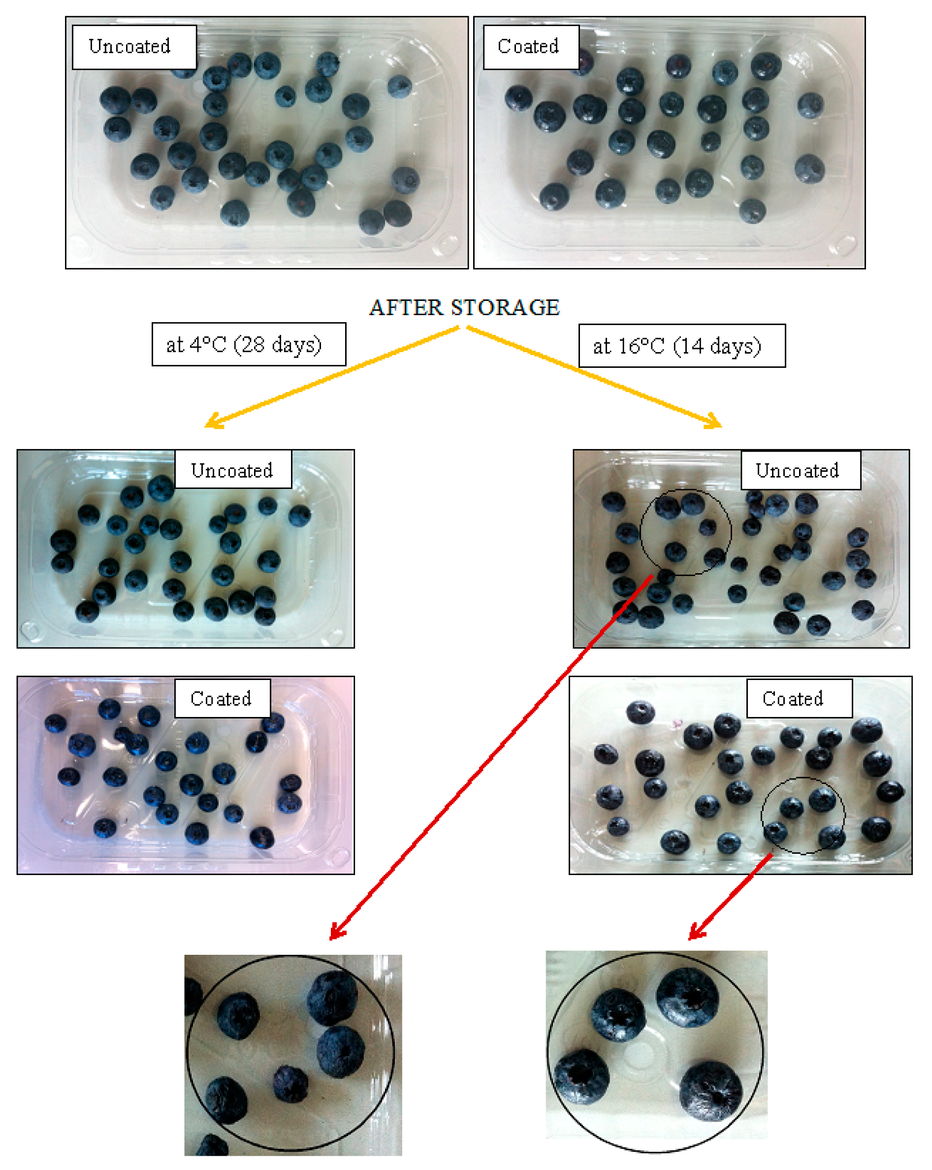 Materials 10 00965 g001