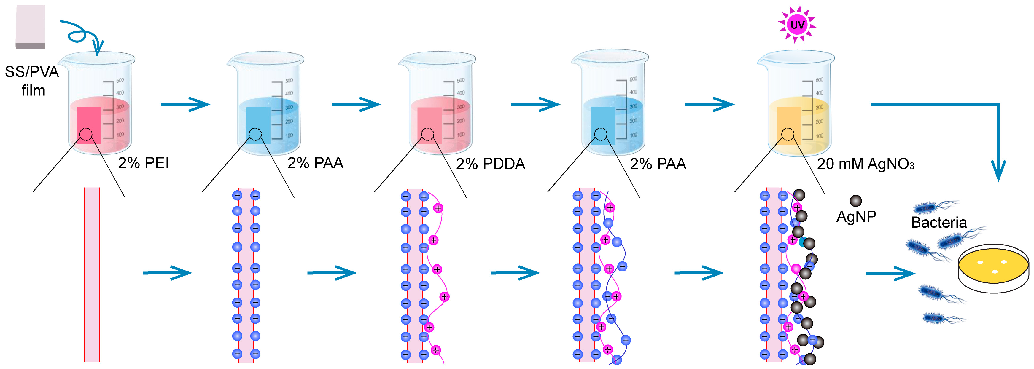 Materials 10 00967 g001