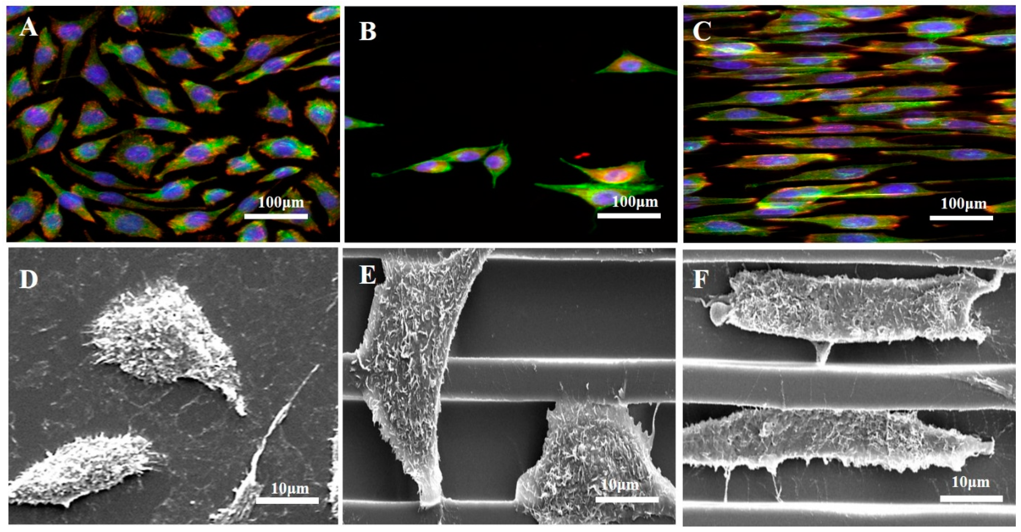 Materials 10 00973 g003
