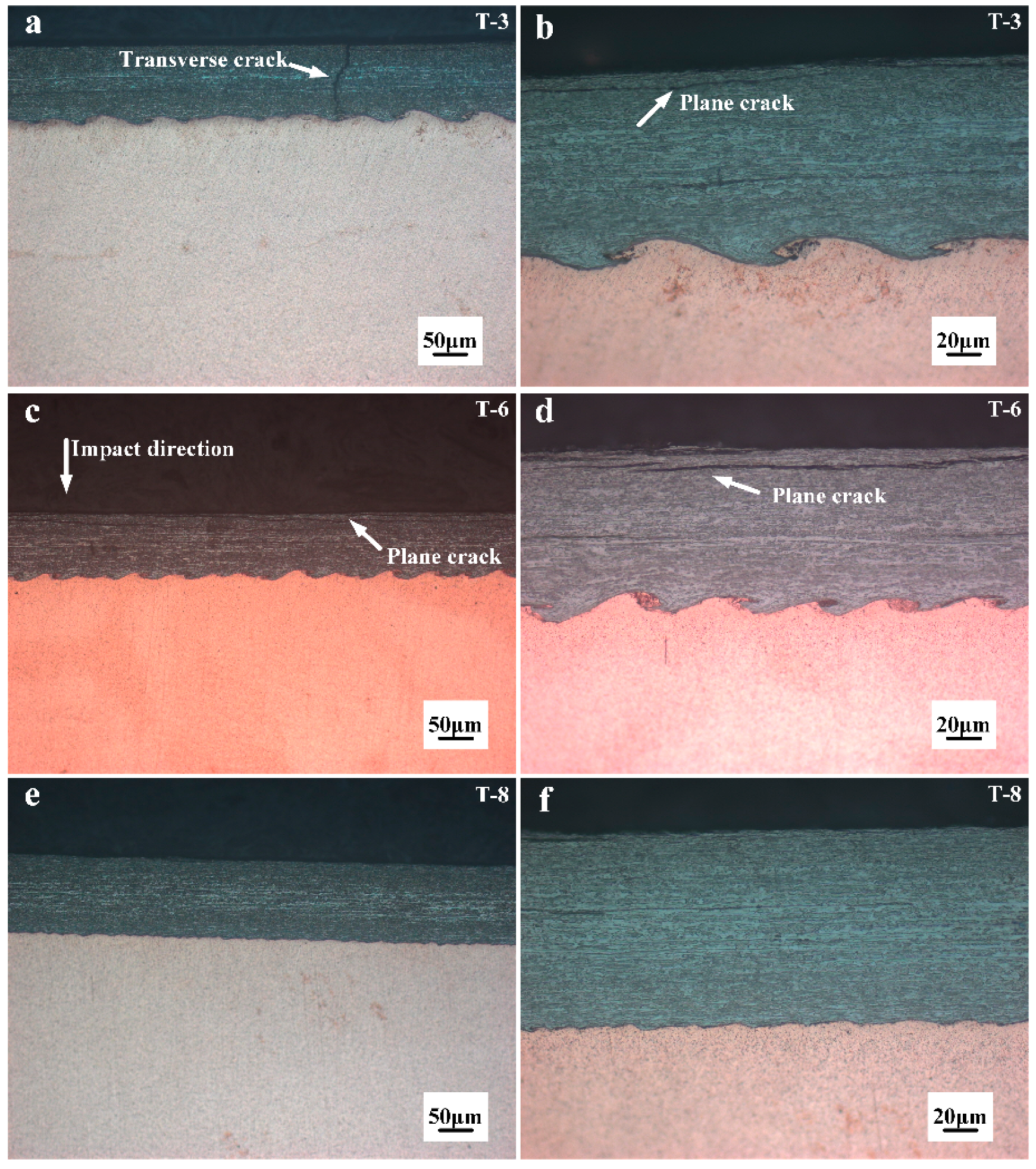 Materials 10 00984 g005 Materials 10 00984 g005