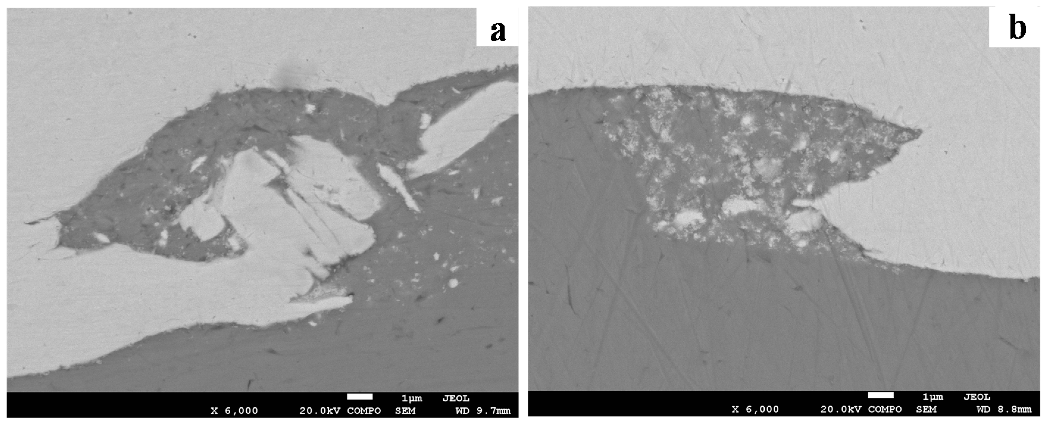 Materials 10 00984 g010a Materials 10 00984 g010a