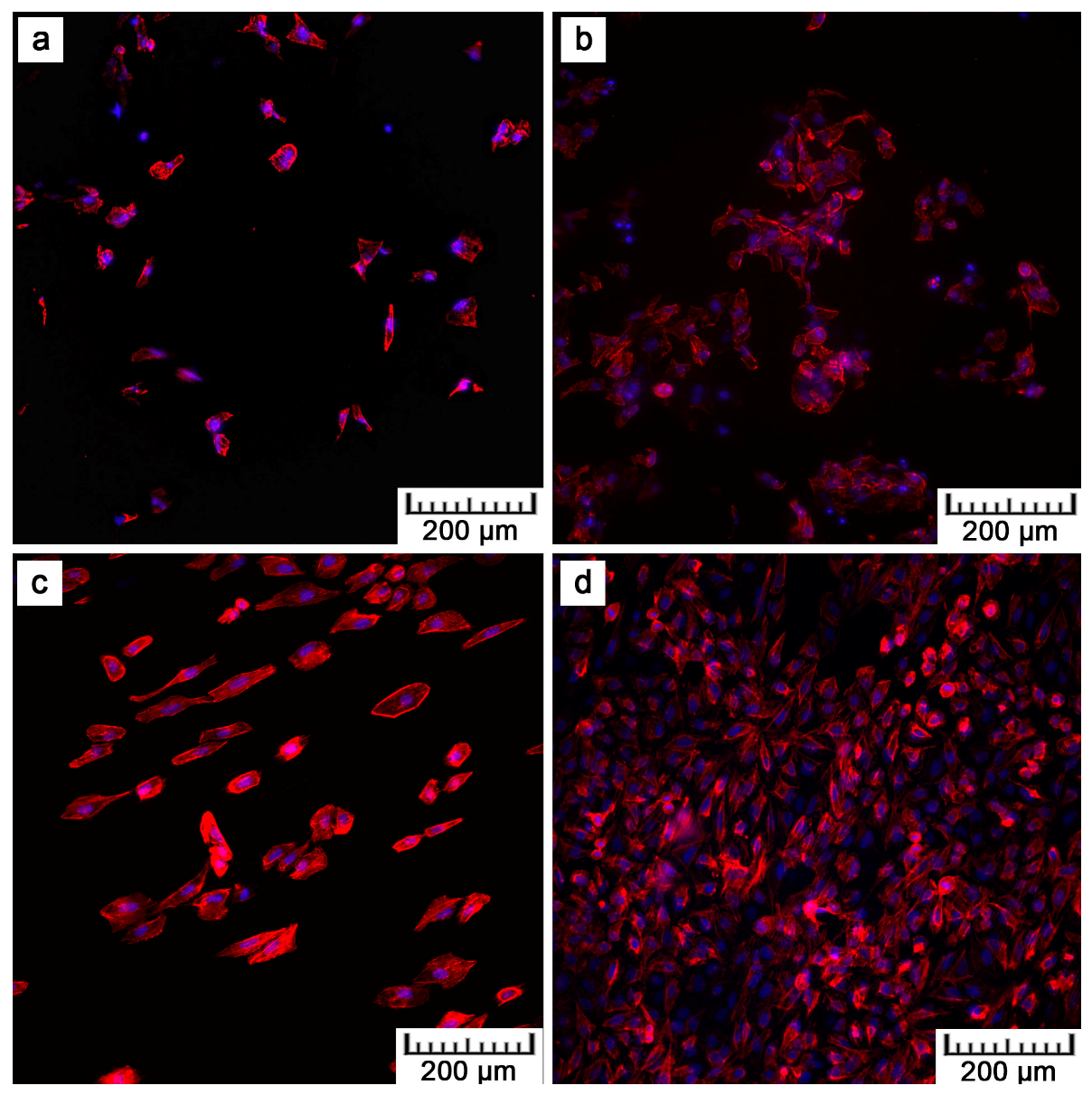Materials 10 00987 g008