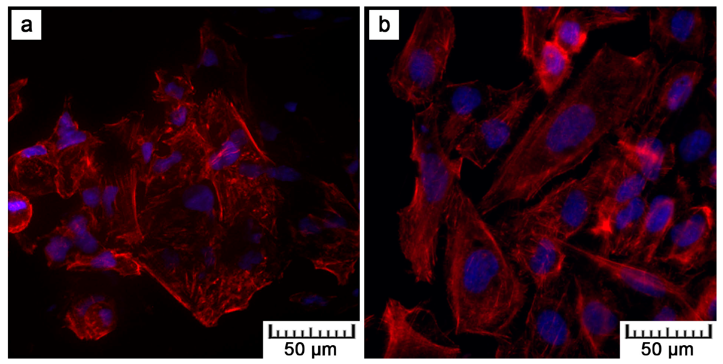 Materials 10 00987 g009
