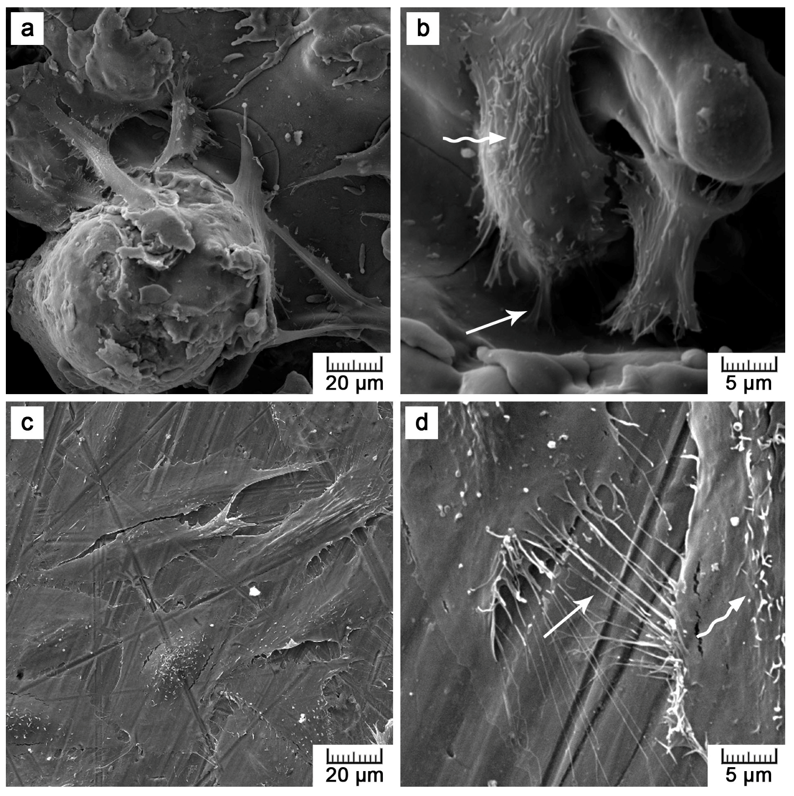 Materials 10 00987 g011