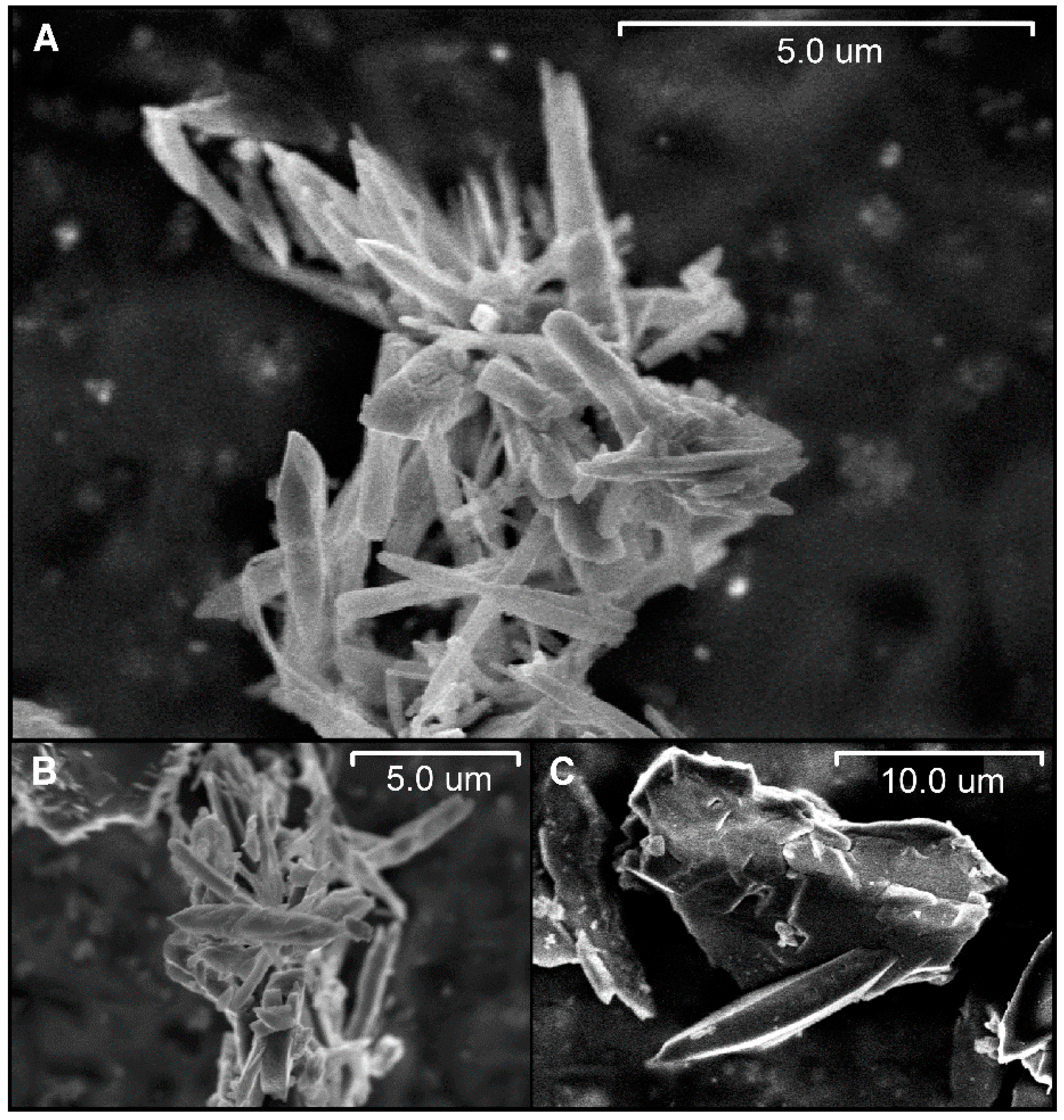 Materials 10 00992 g004