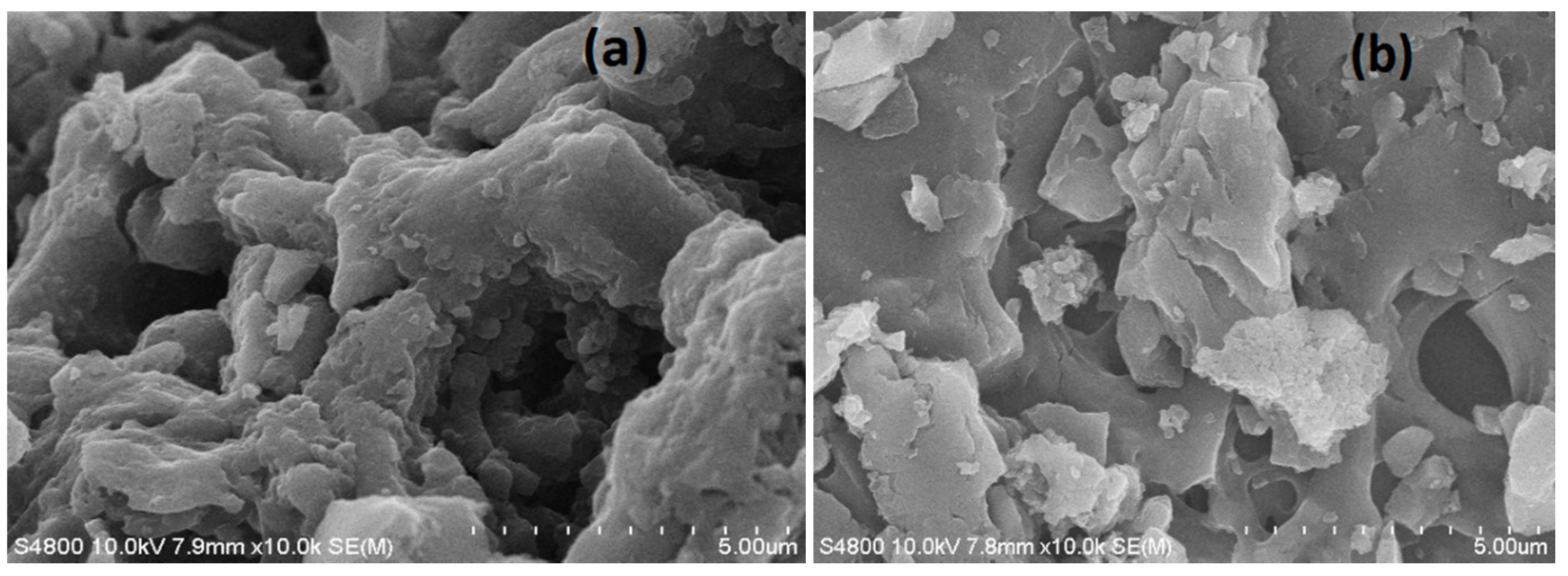 Materials 10 01002 g003 Materials 10 01002 g003