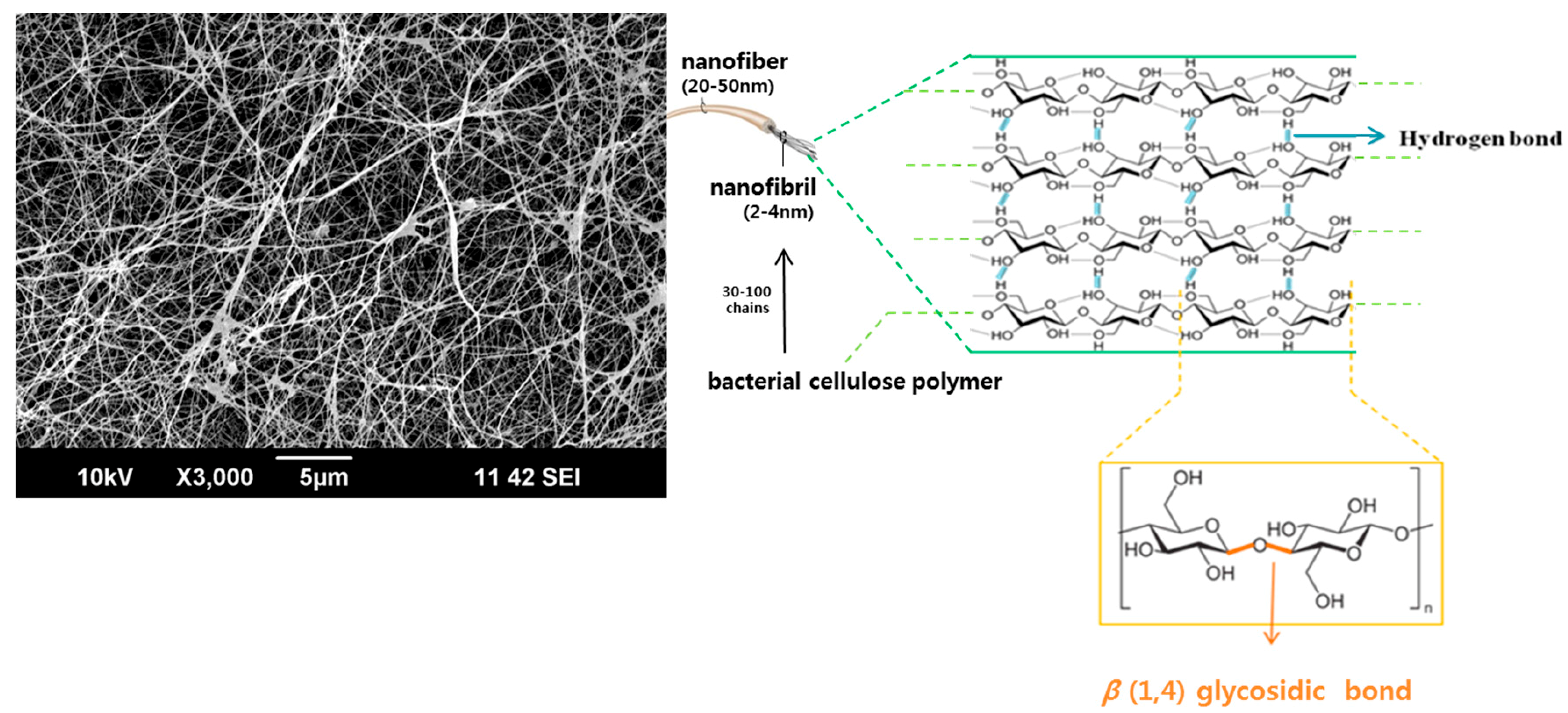 Materials 10 01018 g001