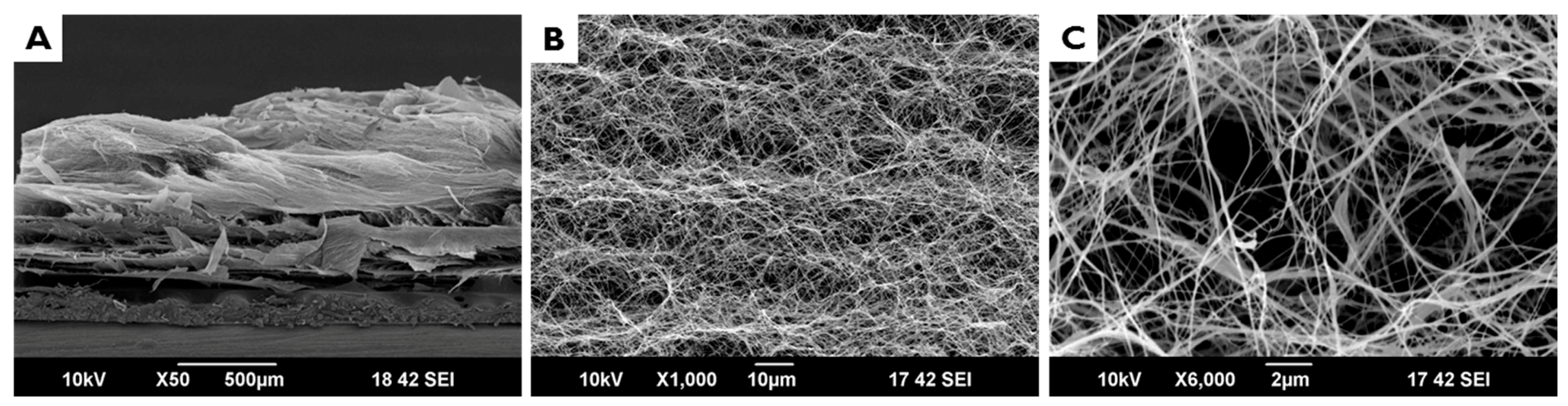 Materials 10 01018 g002