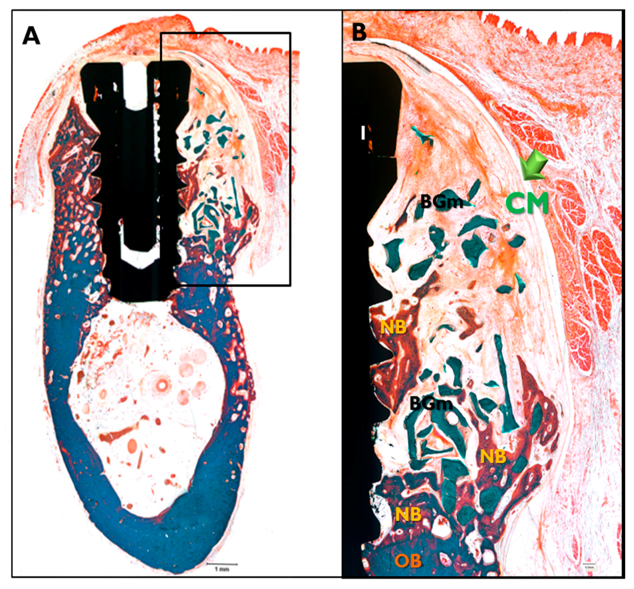 Materials 10 01018 g008