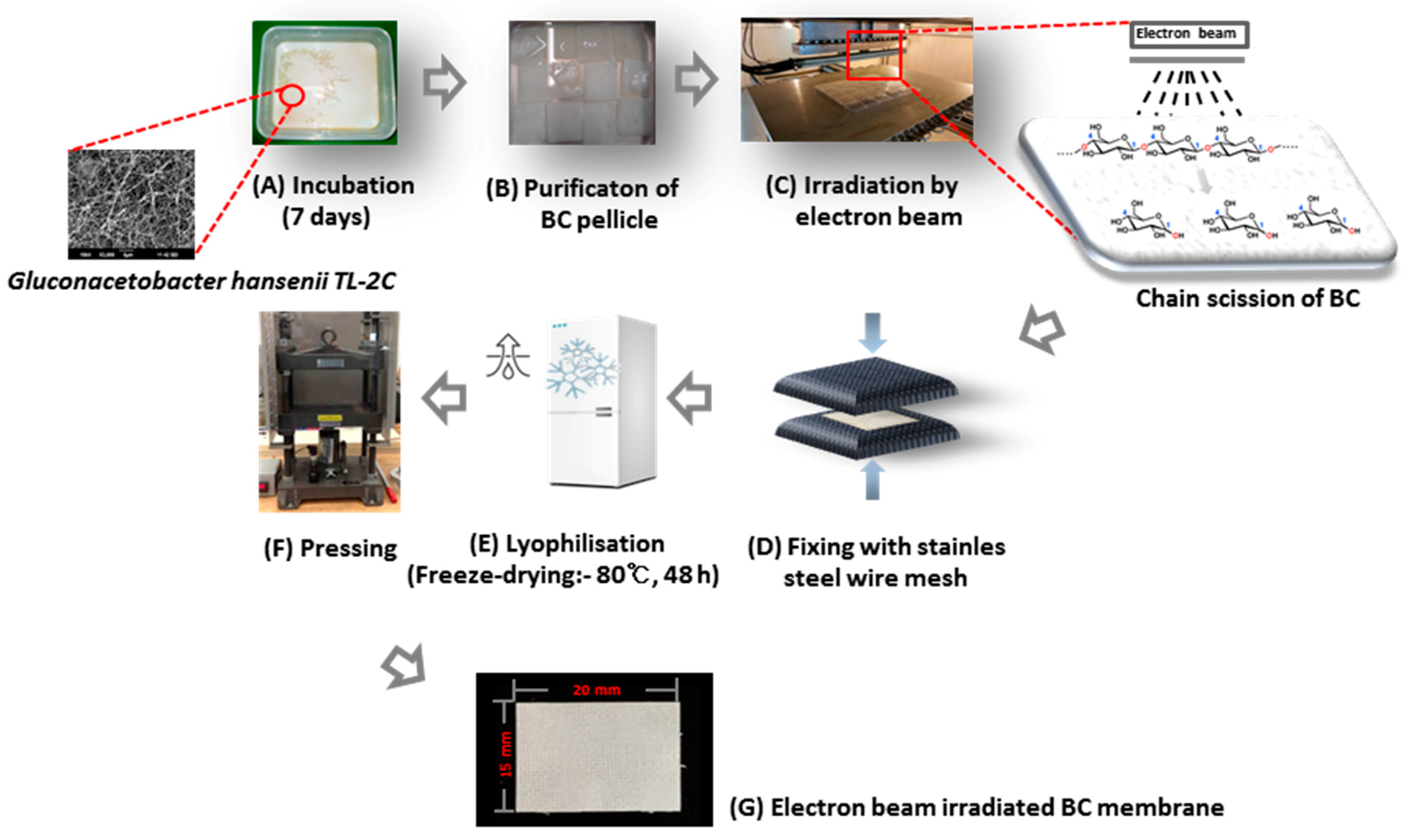 Materials 10 01018 g011
