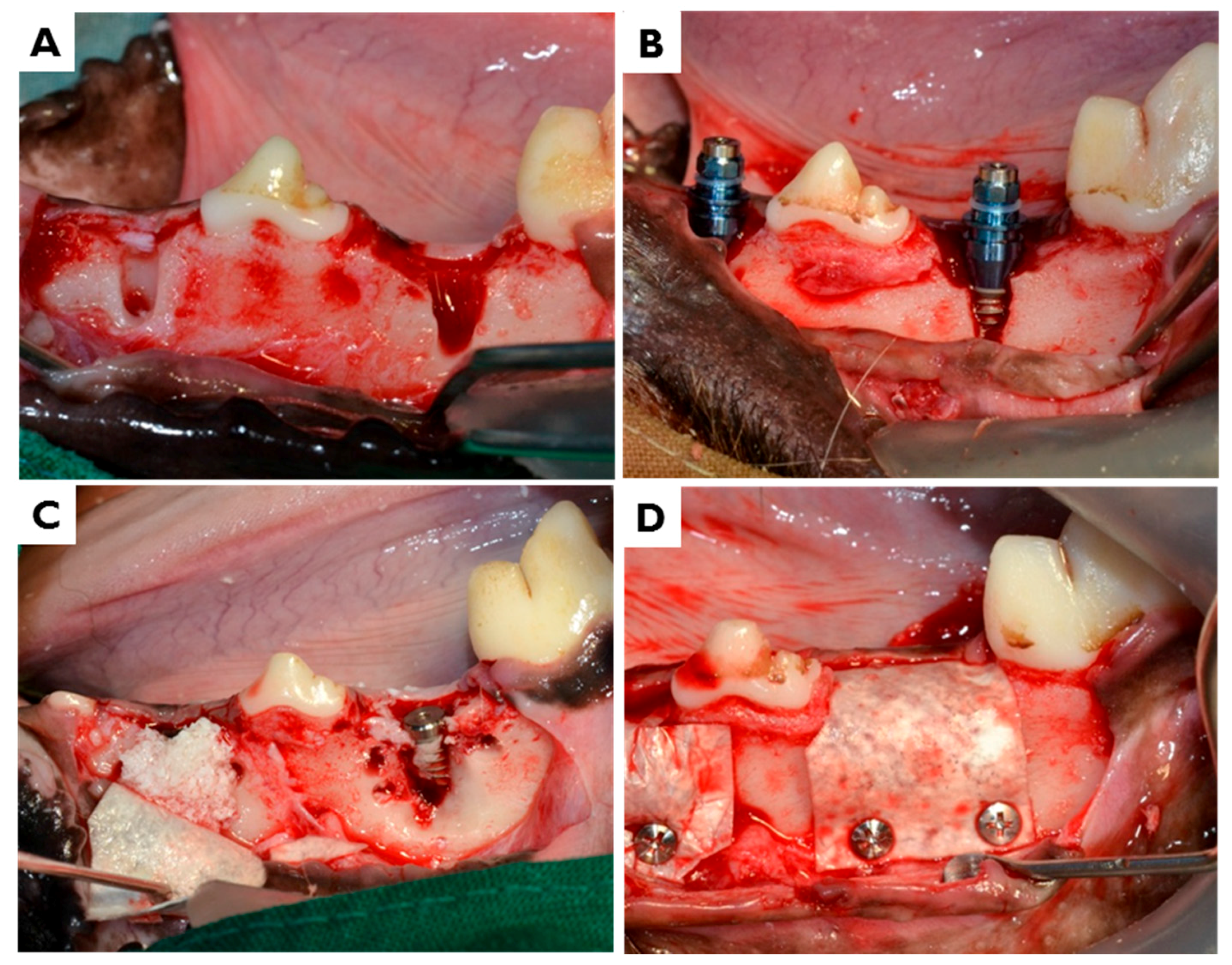 Materials 10 01018 g012
