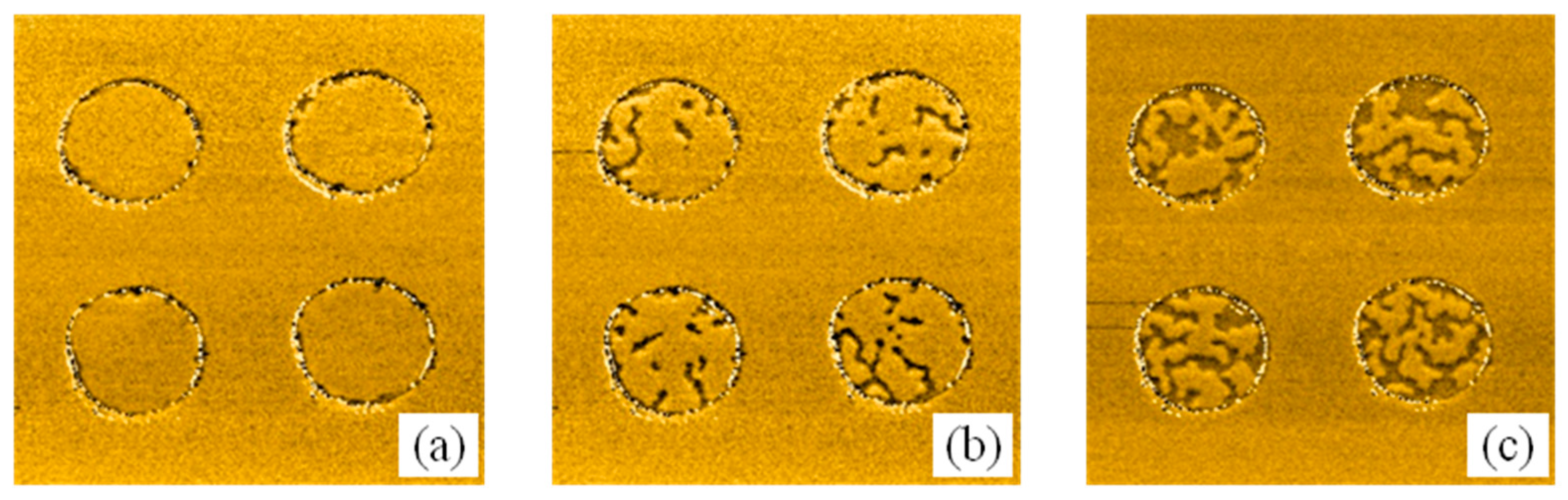 Materials 10 01034 g003