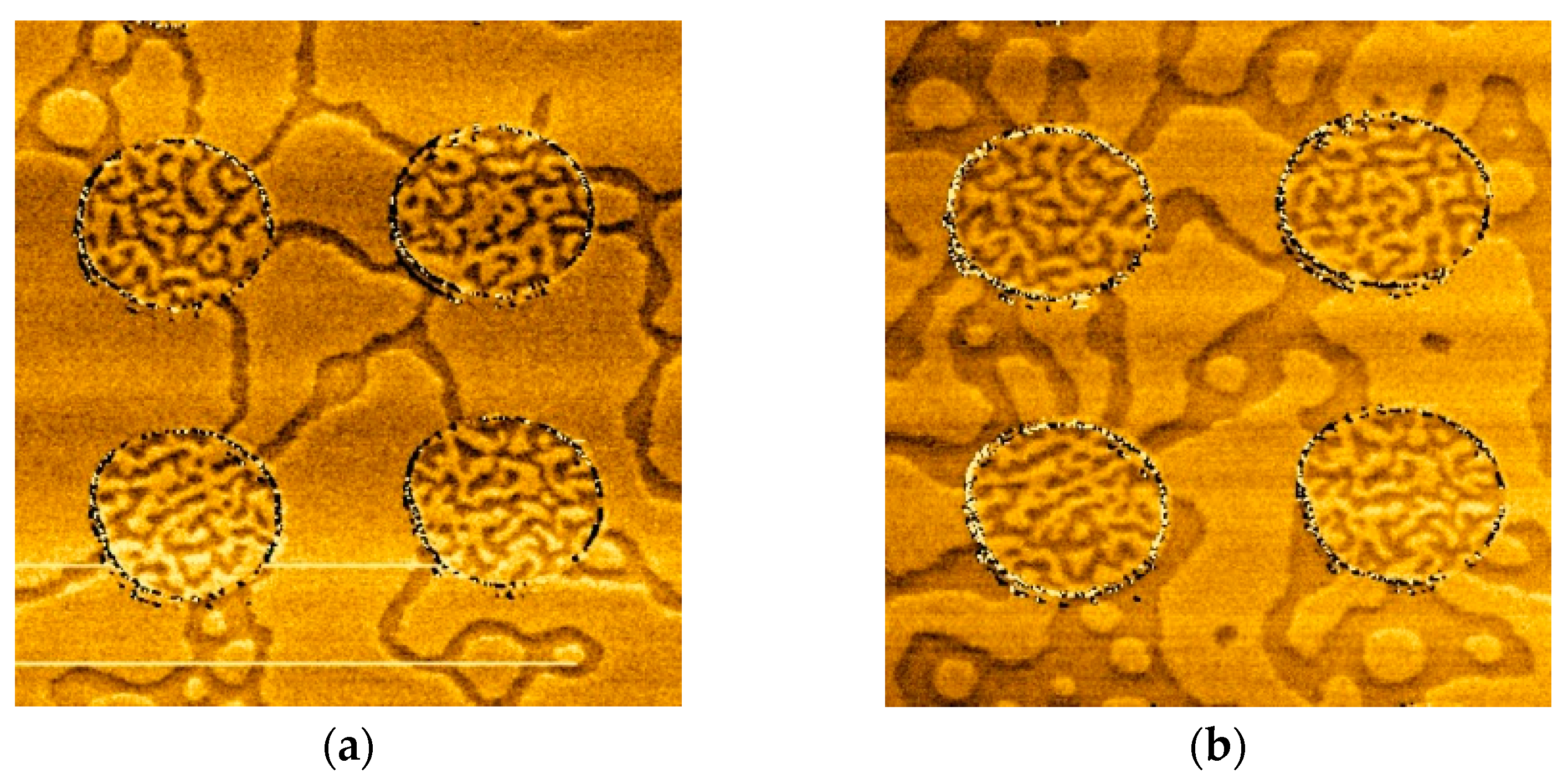 Materials 10 01034 g004