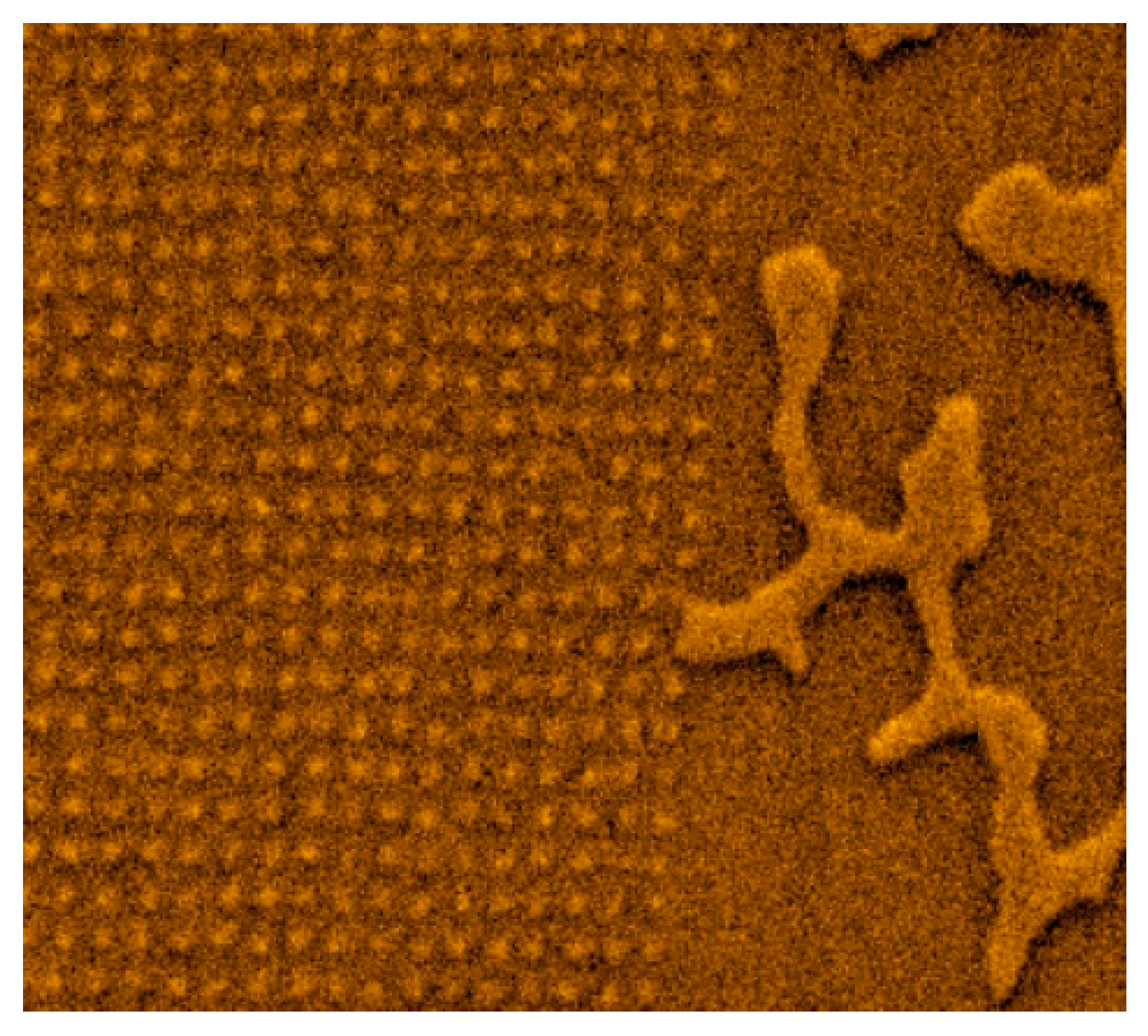 Materials 10 01034 g006