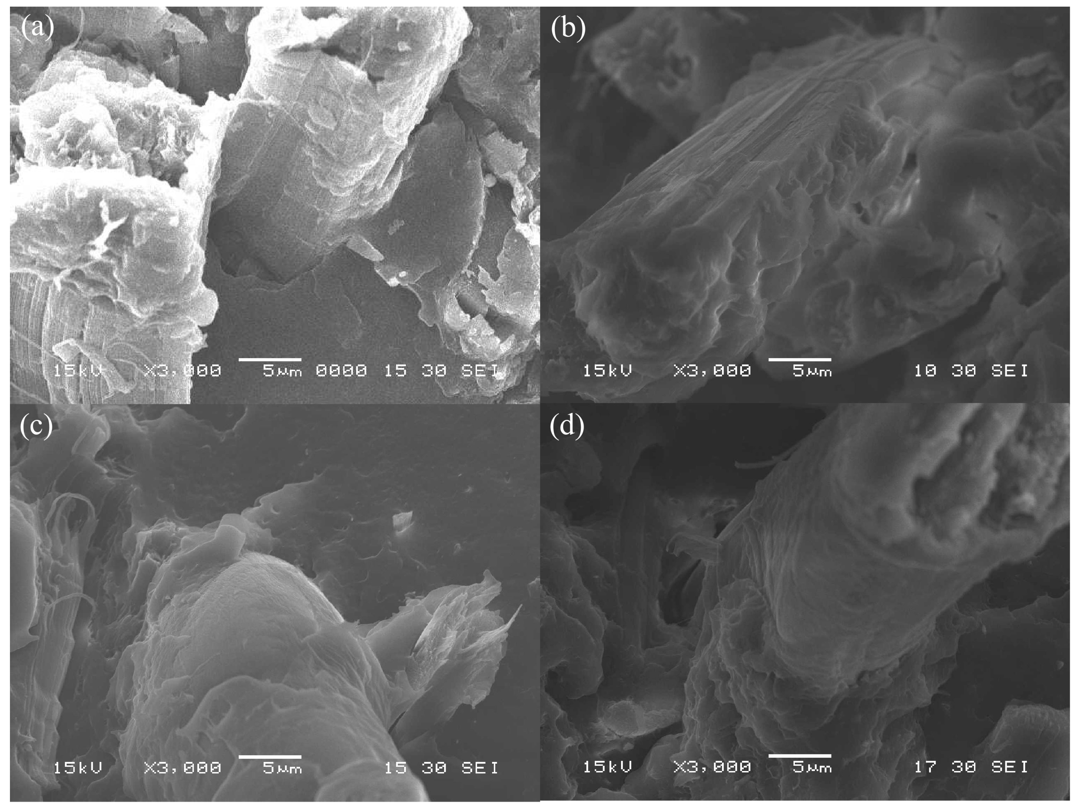 Materials 10 01040 g001