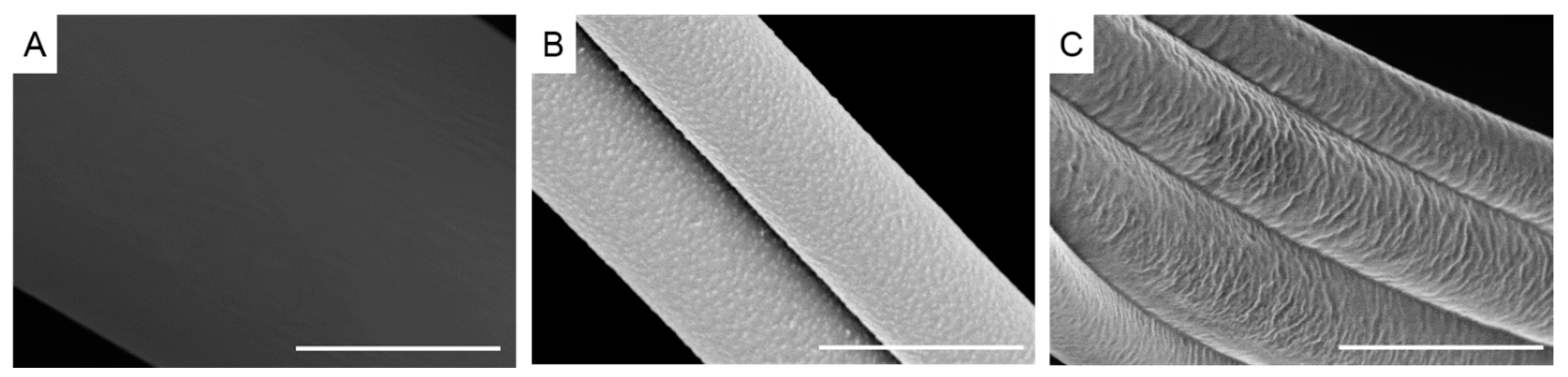 Materials 10 01044 g002