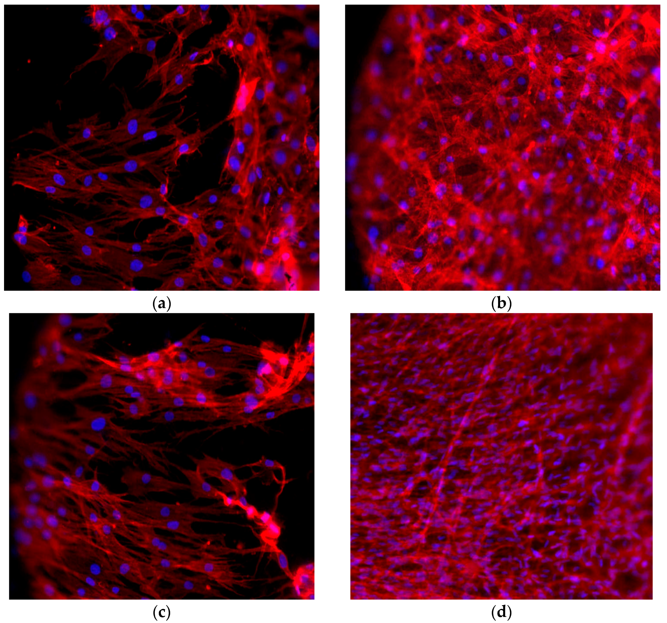 Materials 10 01052 g004