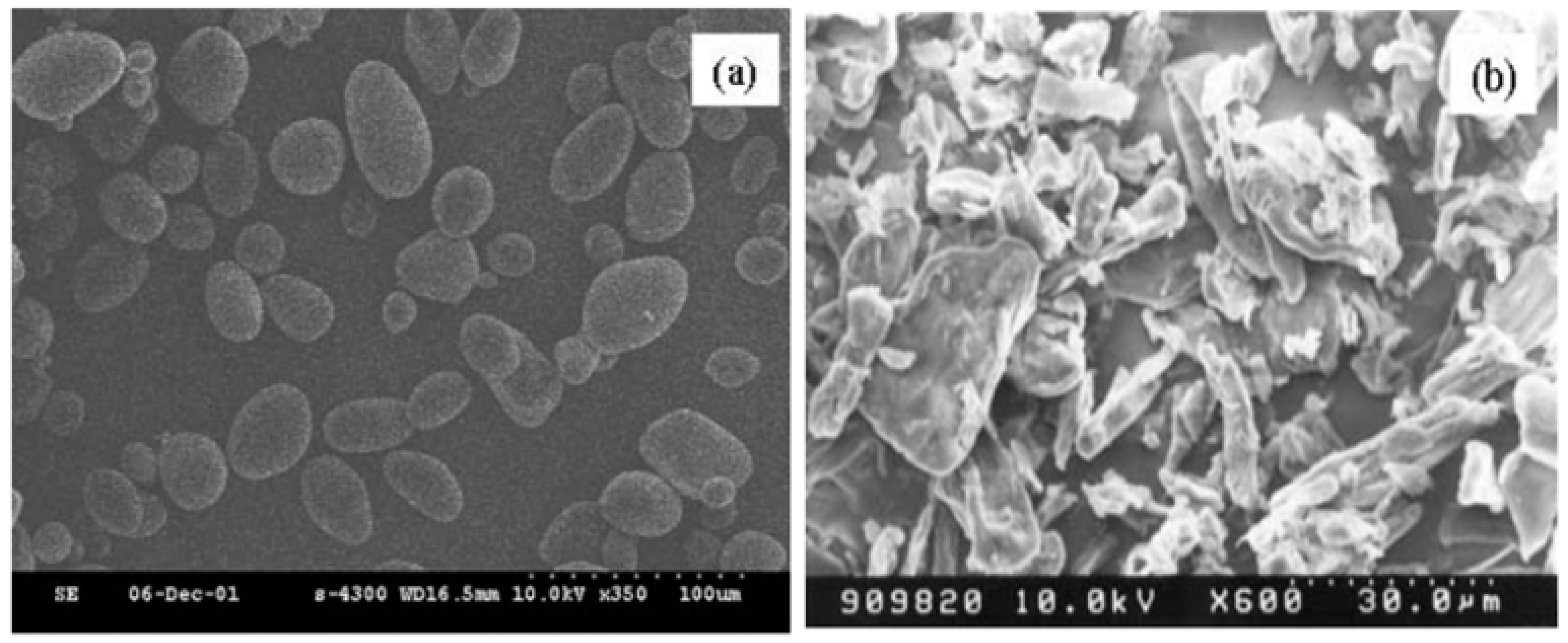 Materials 10 01060 g003