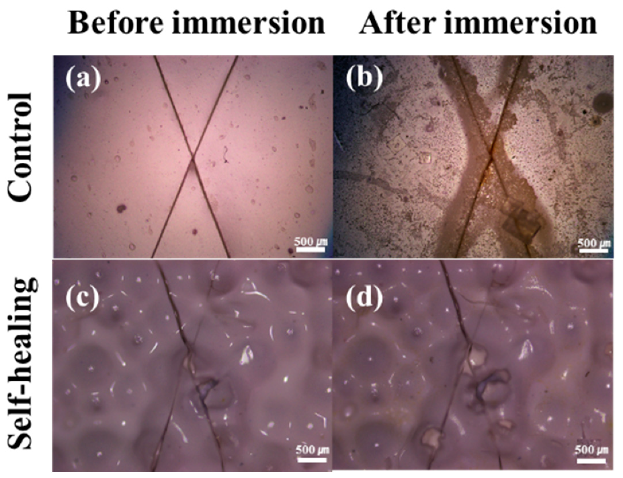 Materials 10 01079 g006