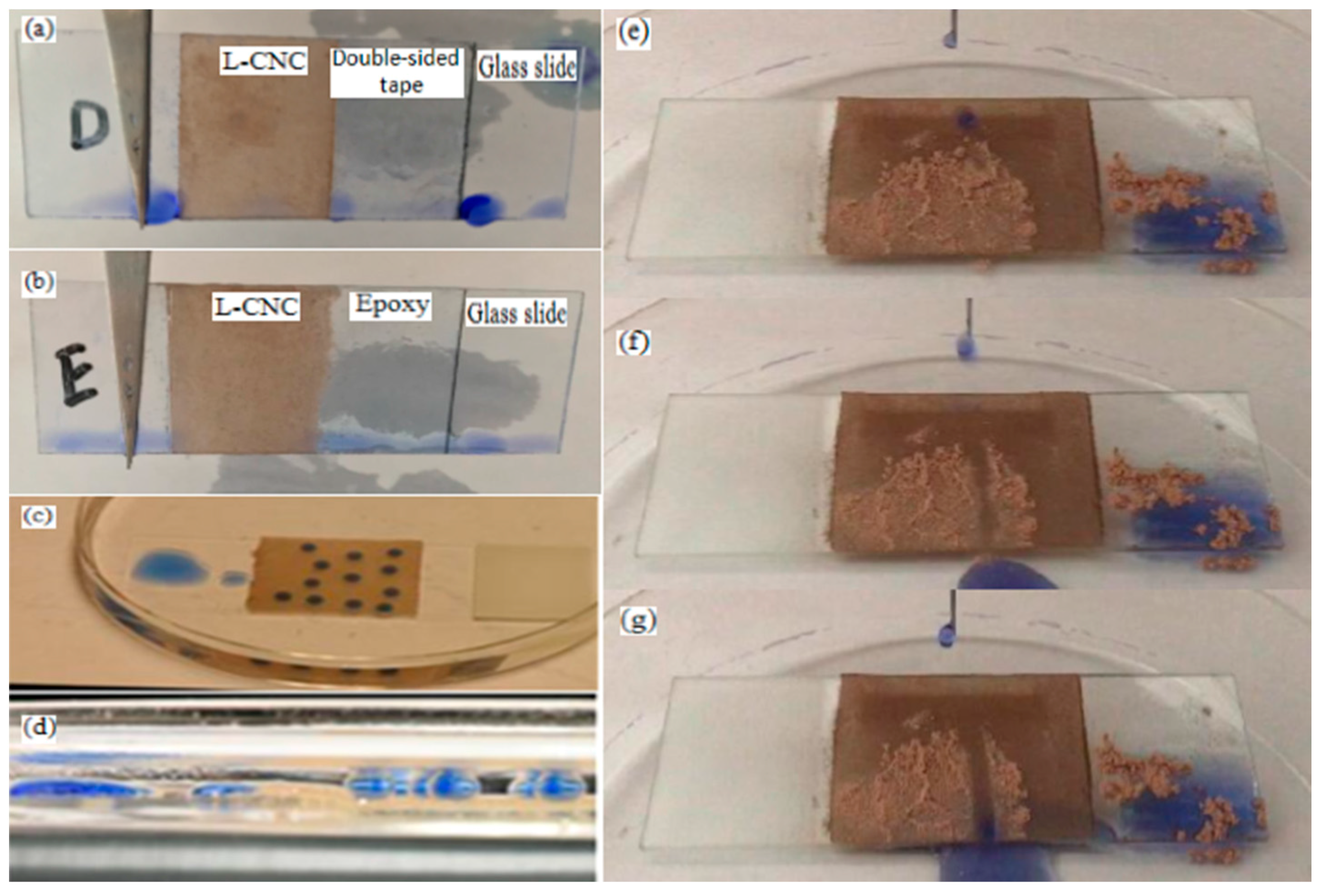 Materials 10 01080 g004