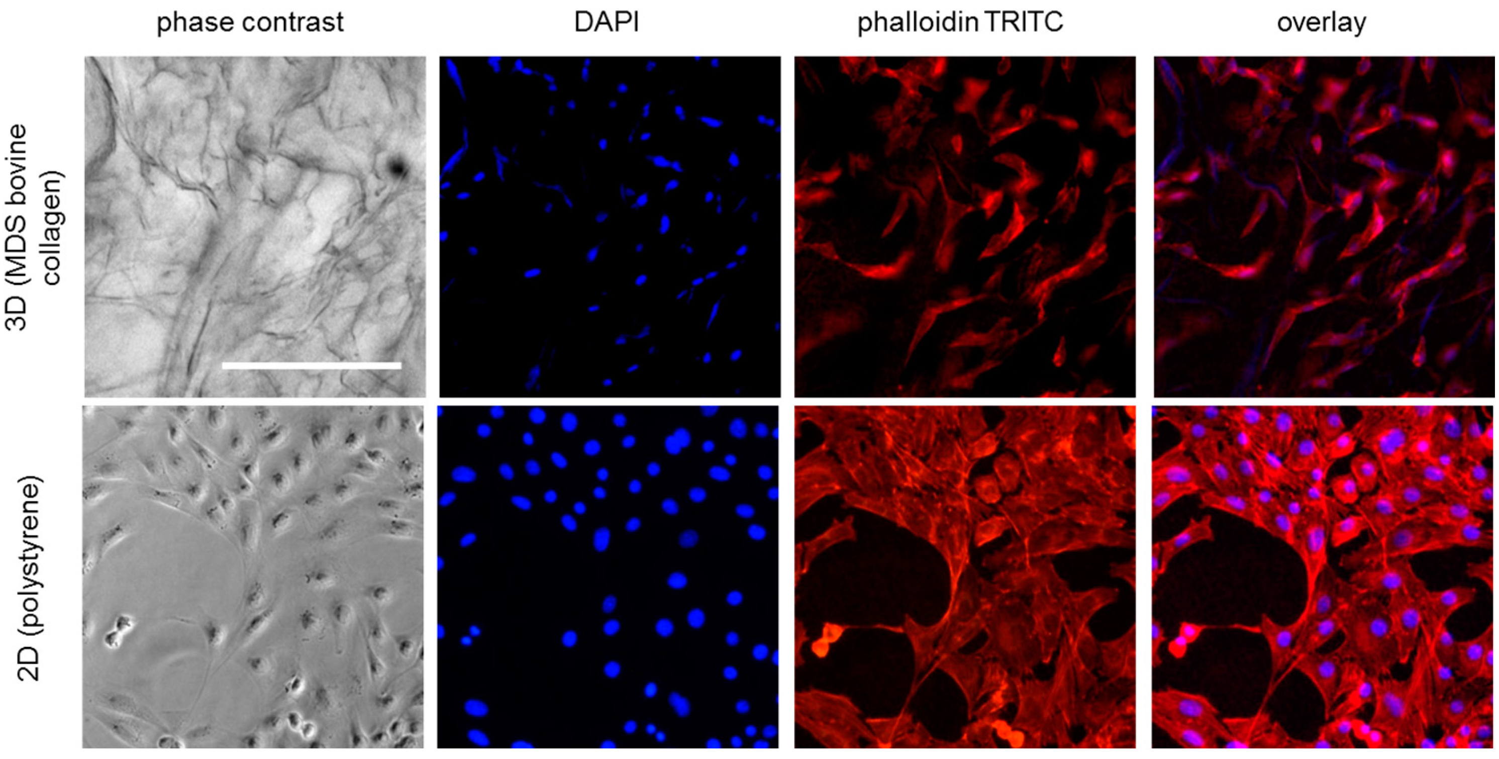 Materials 10 01086 g002