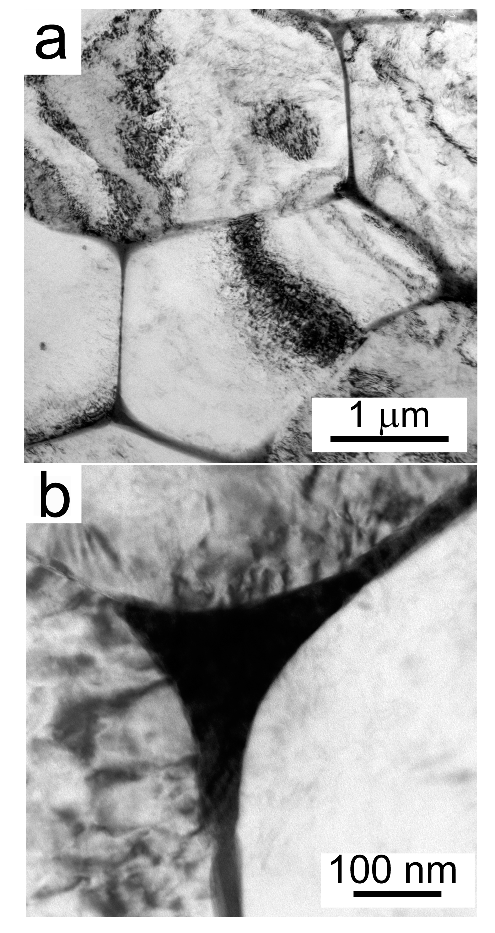 Materials 10 01105 g007