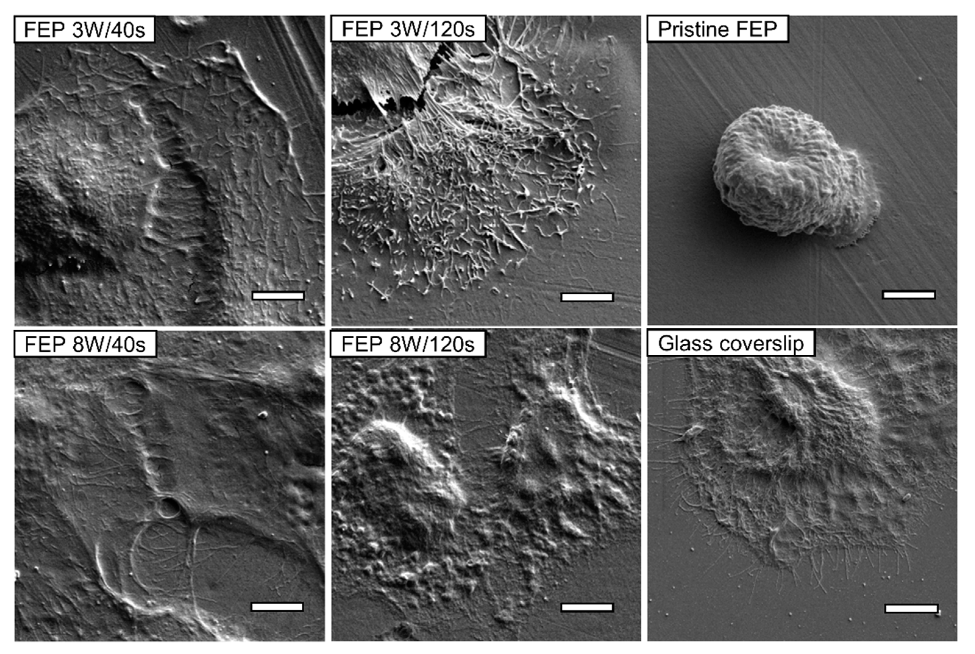 Materials 10 01115 g004