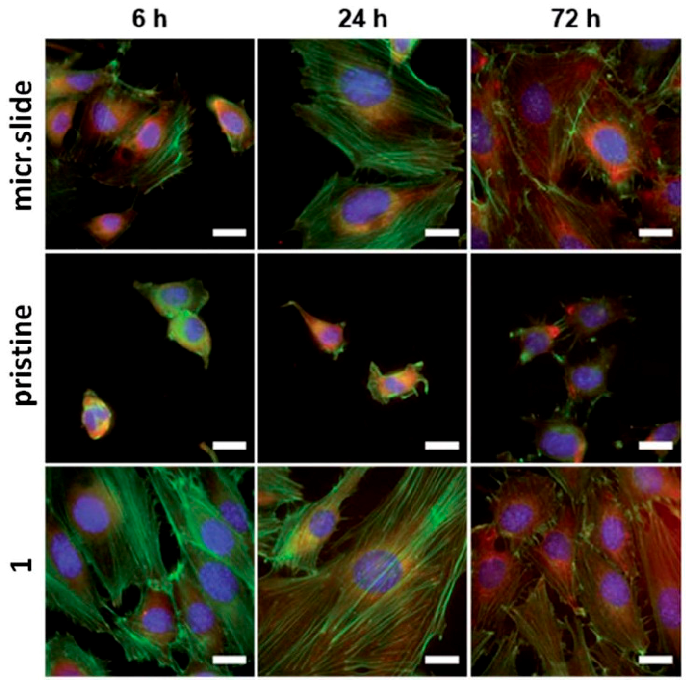 Materials 10 01115 g005