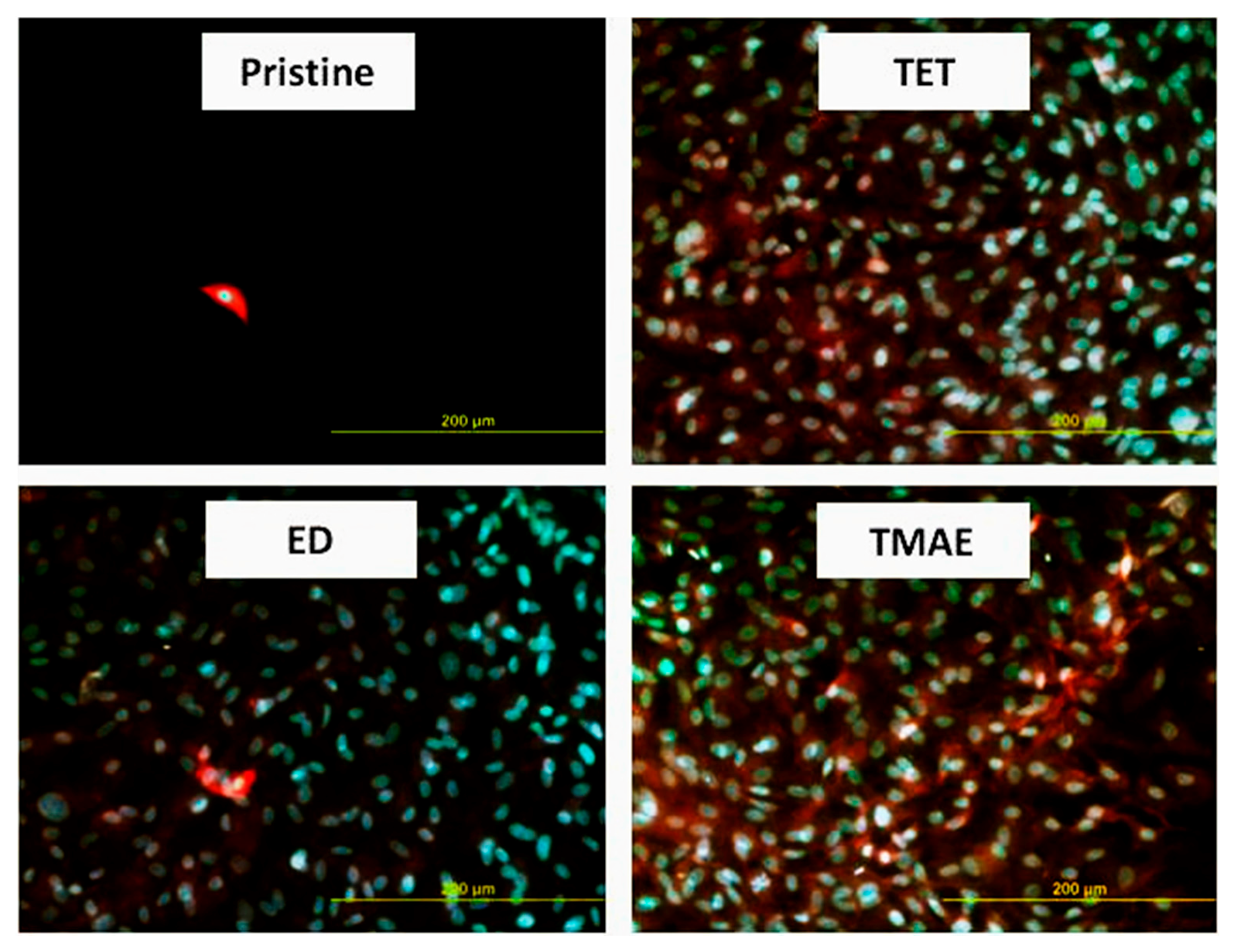 Materials 10 01115 g006