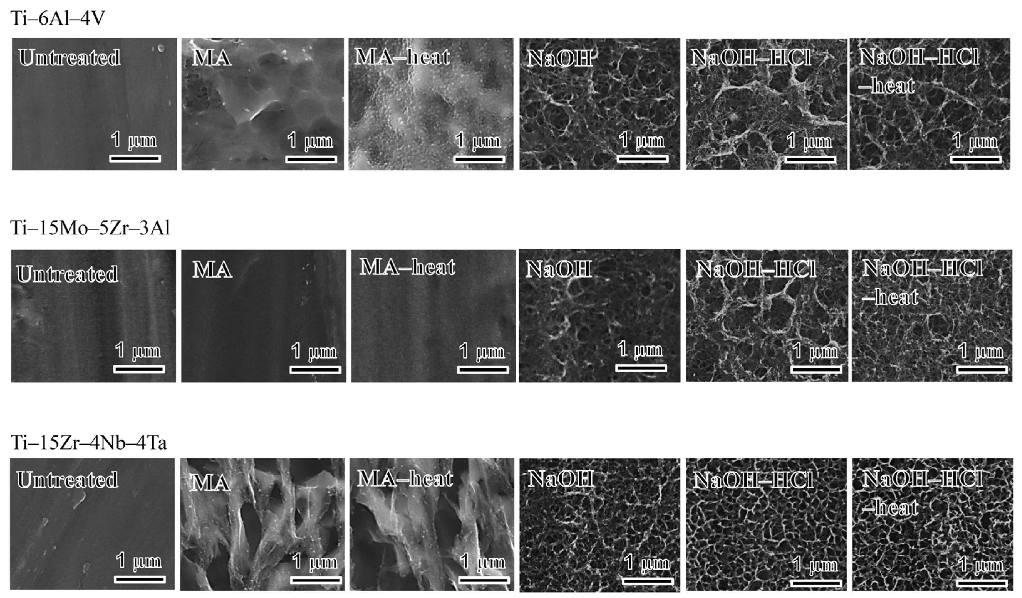 Materials 10 01127 g001 Materials 10 01127 g001