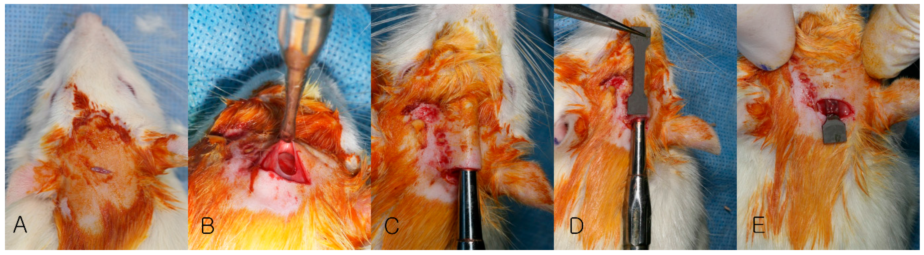 Materials 10 01149 g002