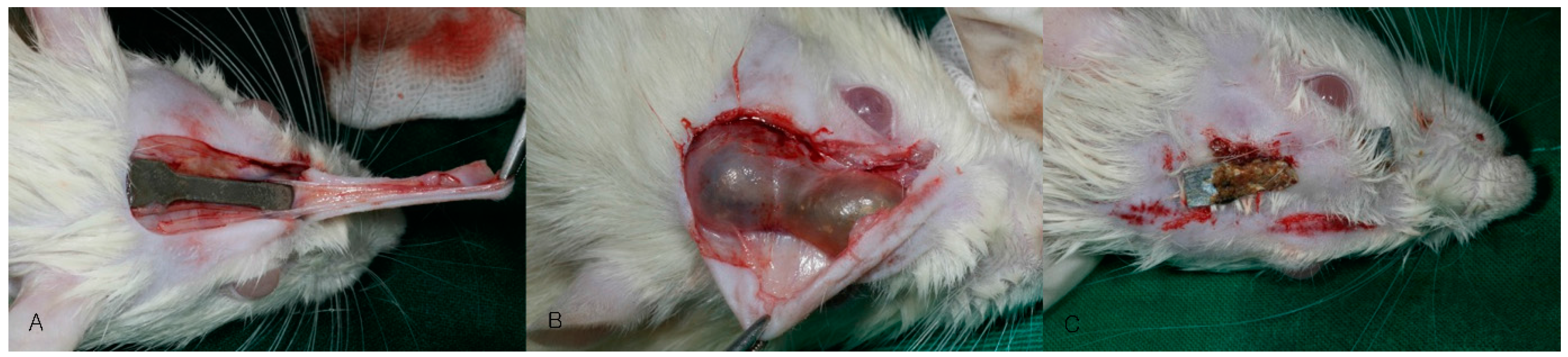 Materials 10 01149 g003