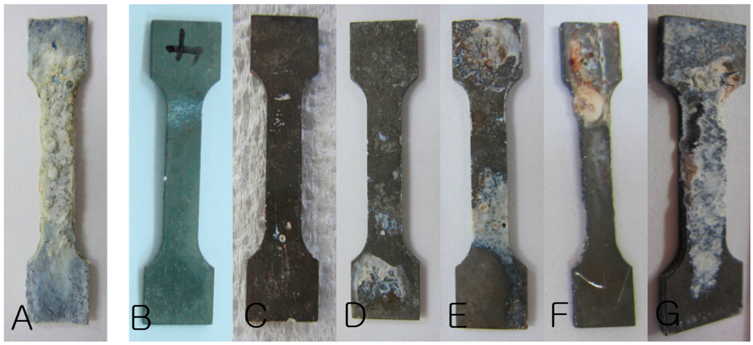 Materials 10 01149 g004