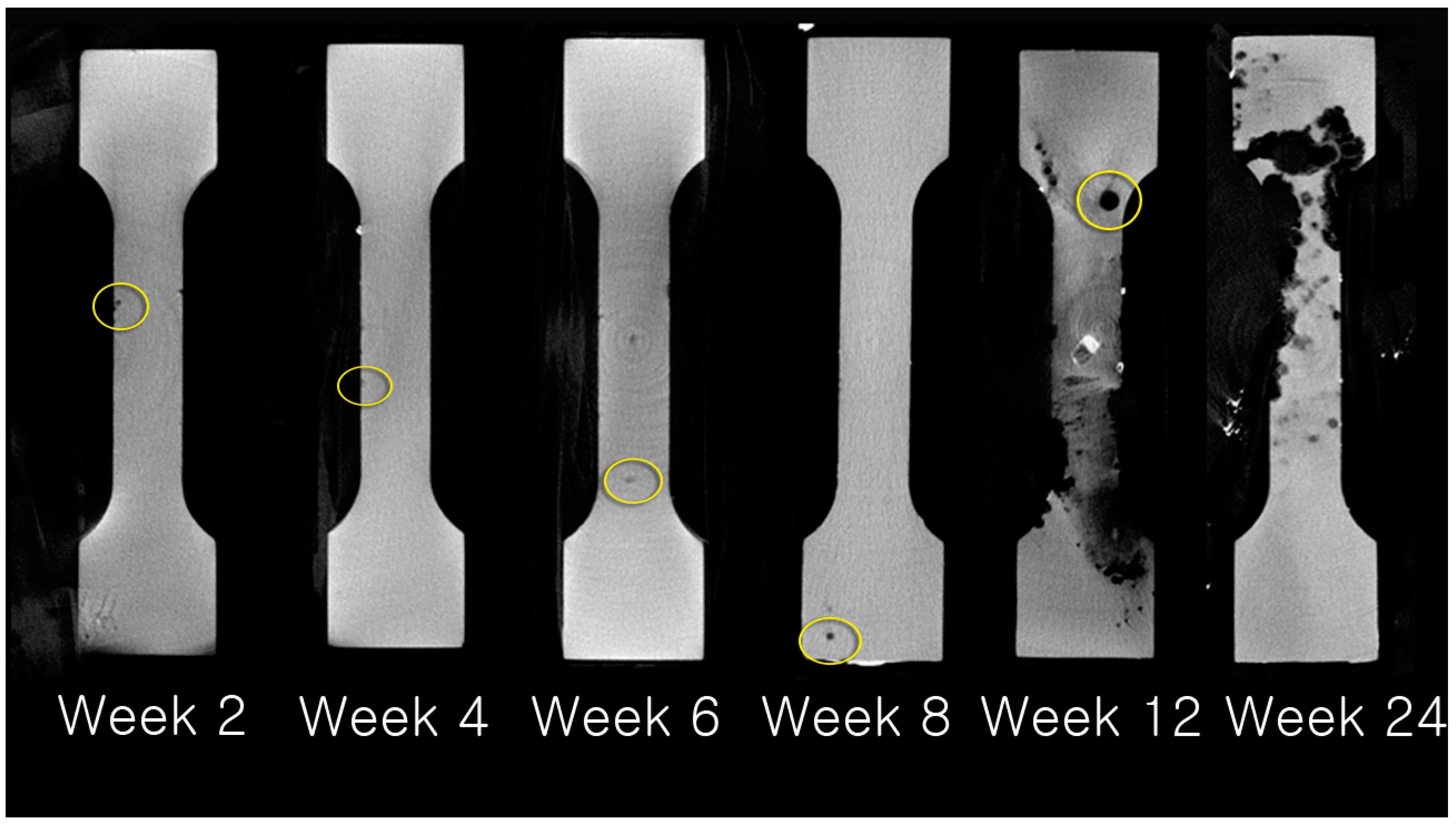 Materials 10 01149 g007