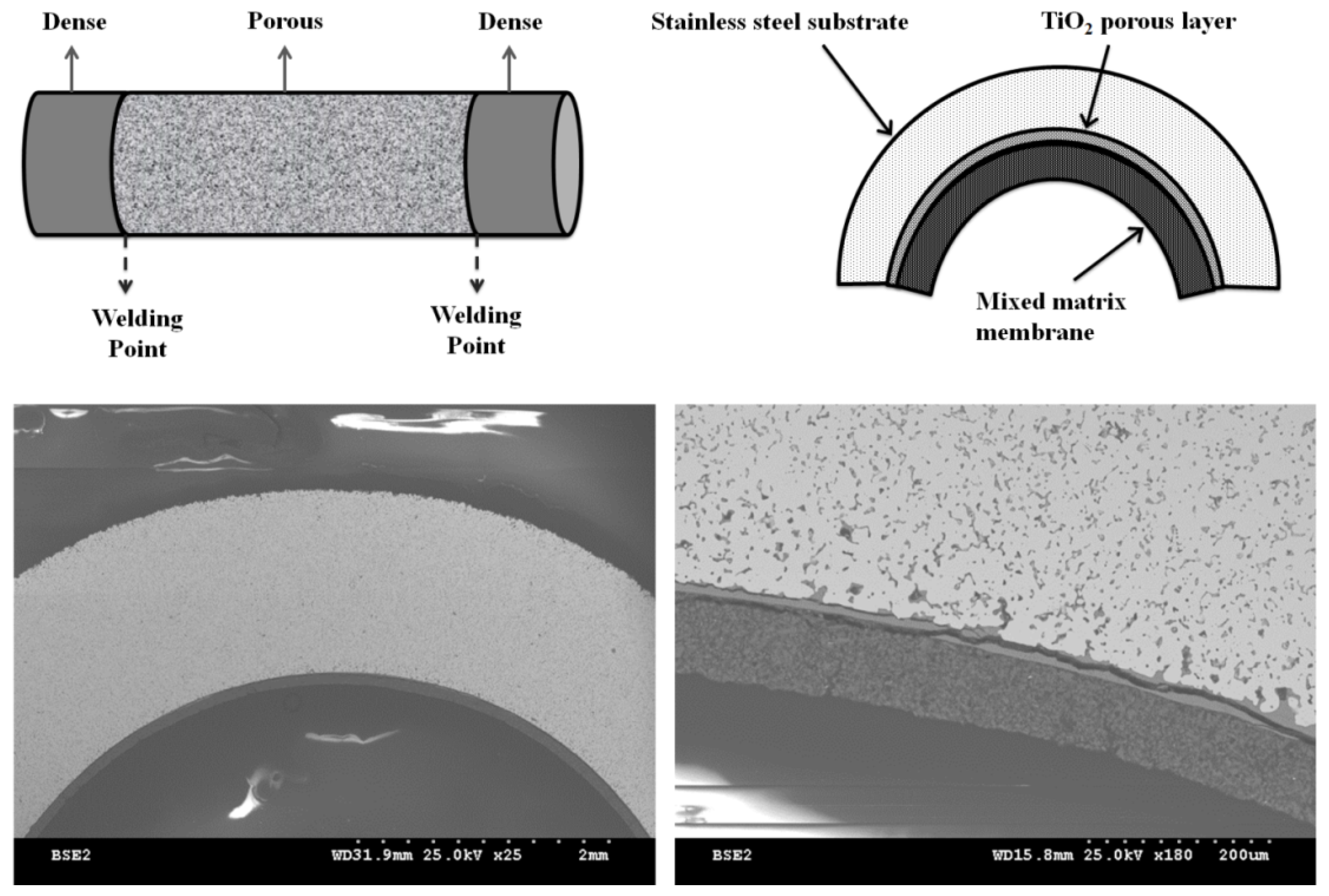 Materials 10 01159 g006