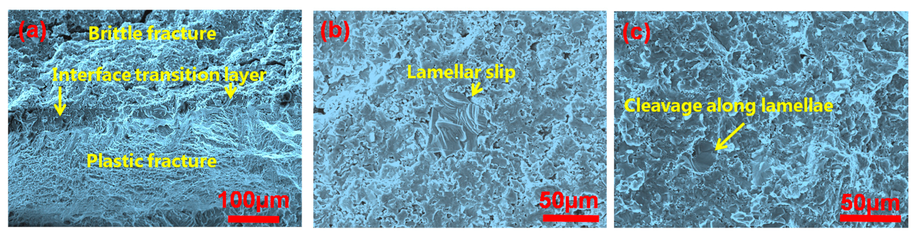 Materials 10 01175 g011